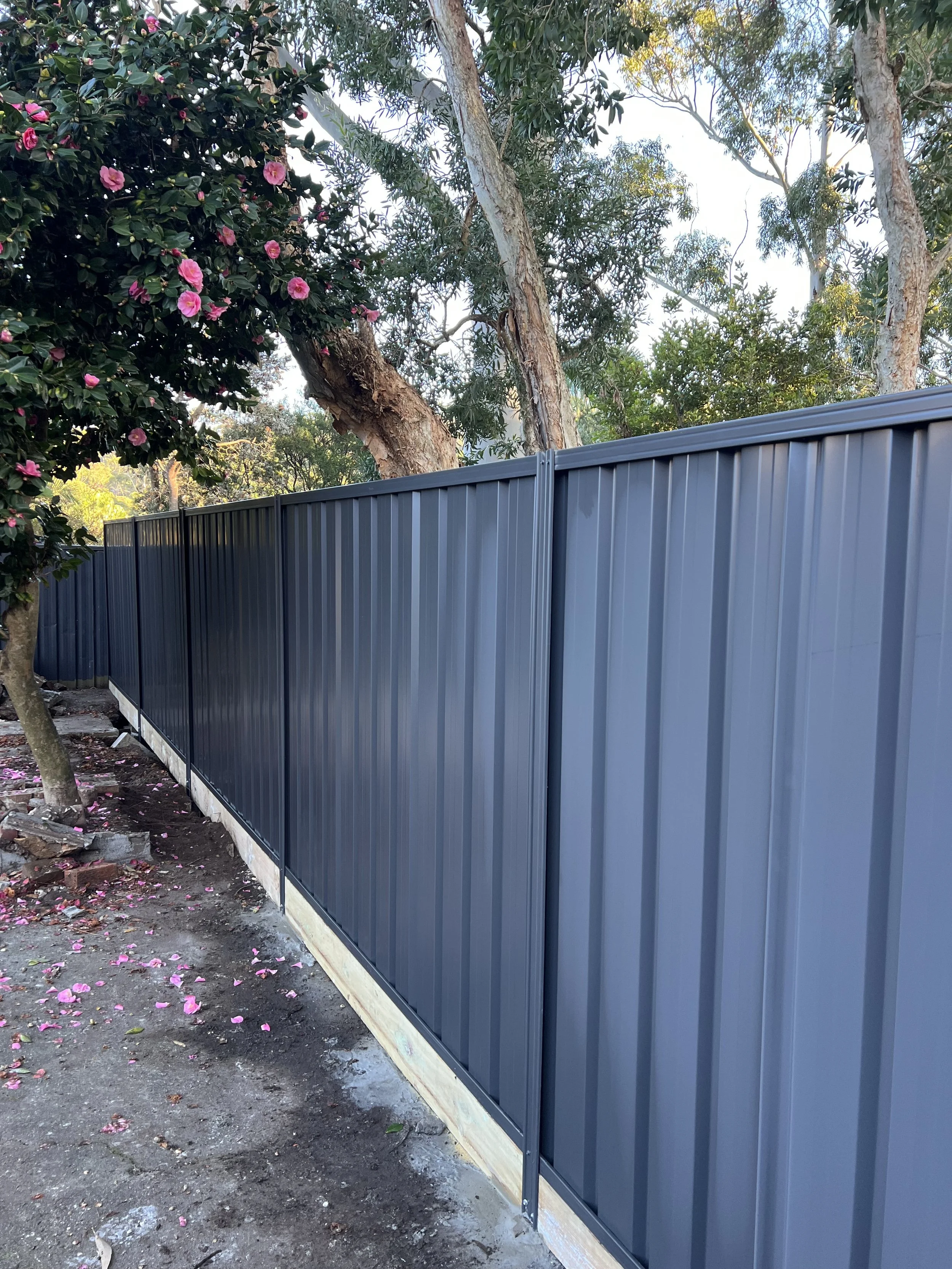 A blue metal fence running along the ground under trees with pink flowers and green foliage.