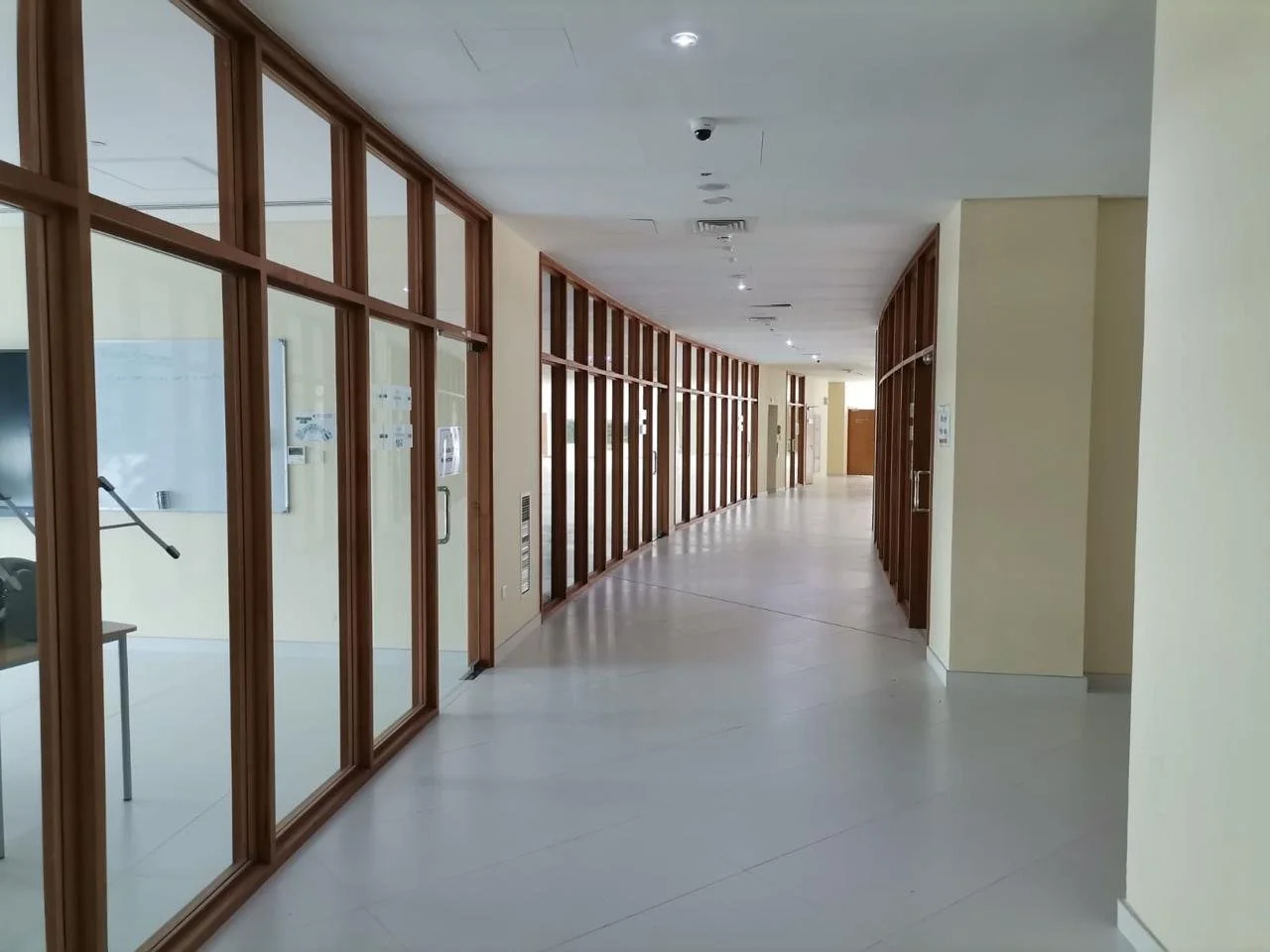 Internal Doors & Hallways