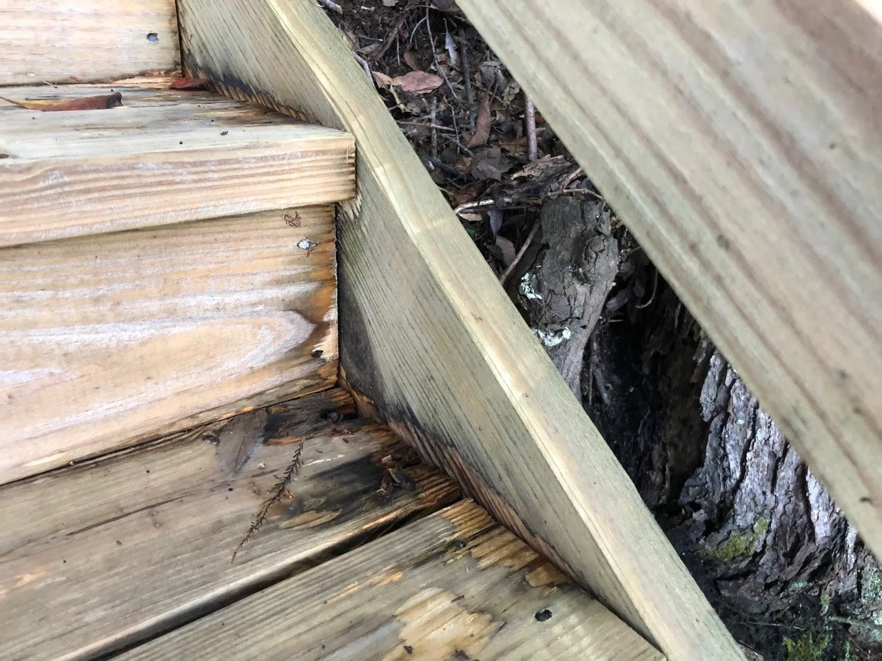 Repairs on Lake James Stairs.jpg