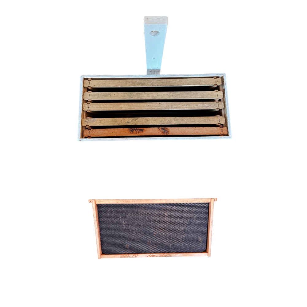 swarm trap website 3.png