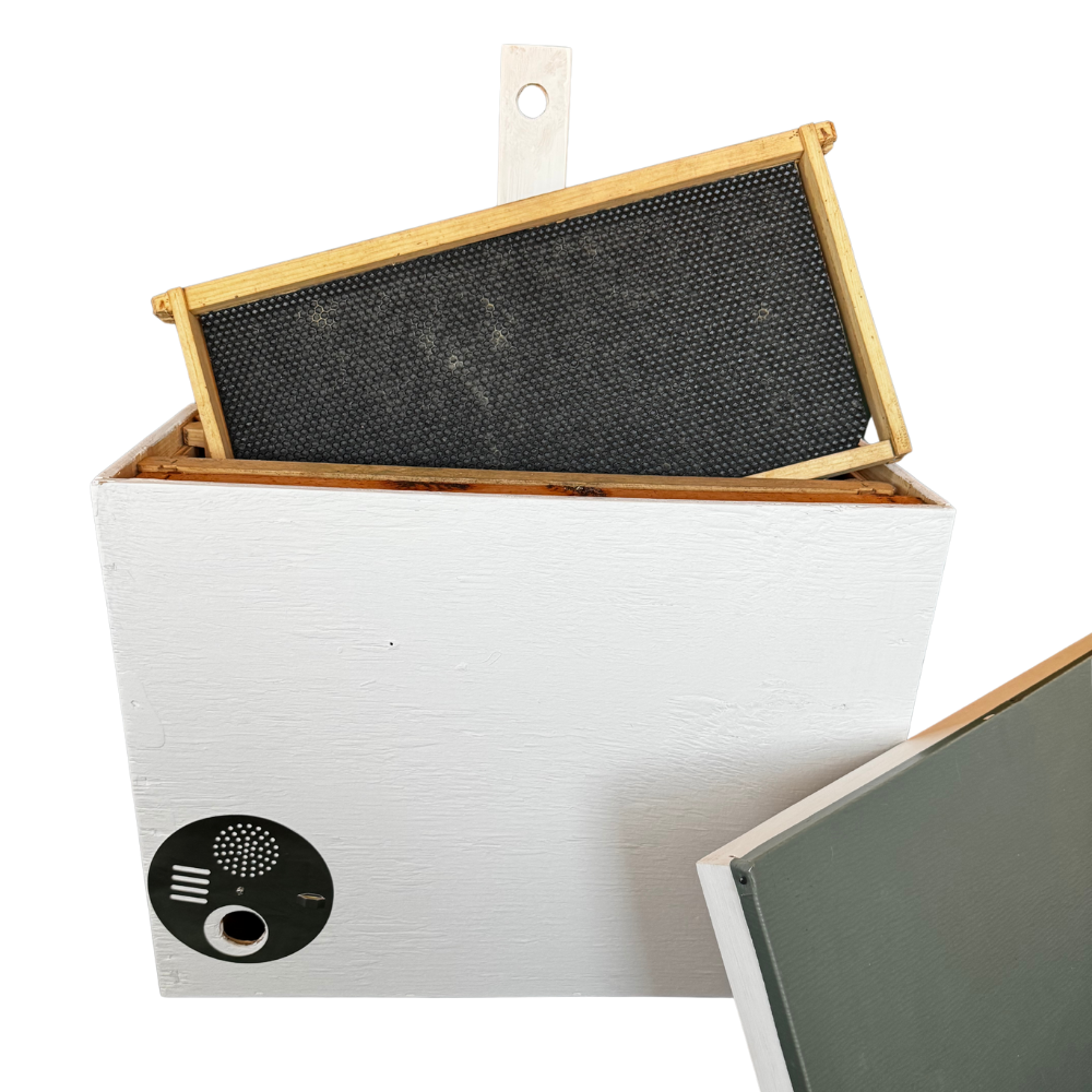 swarm trap website 2.png