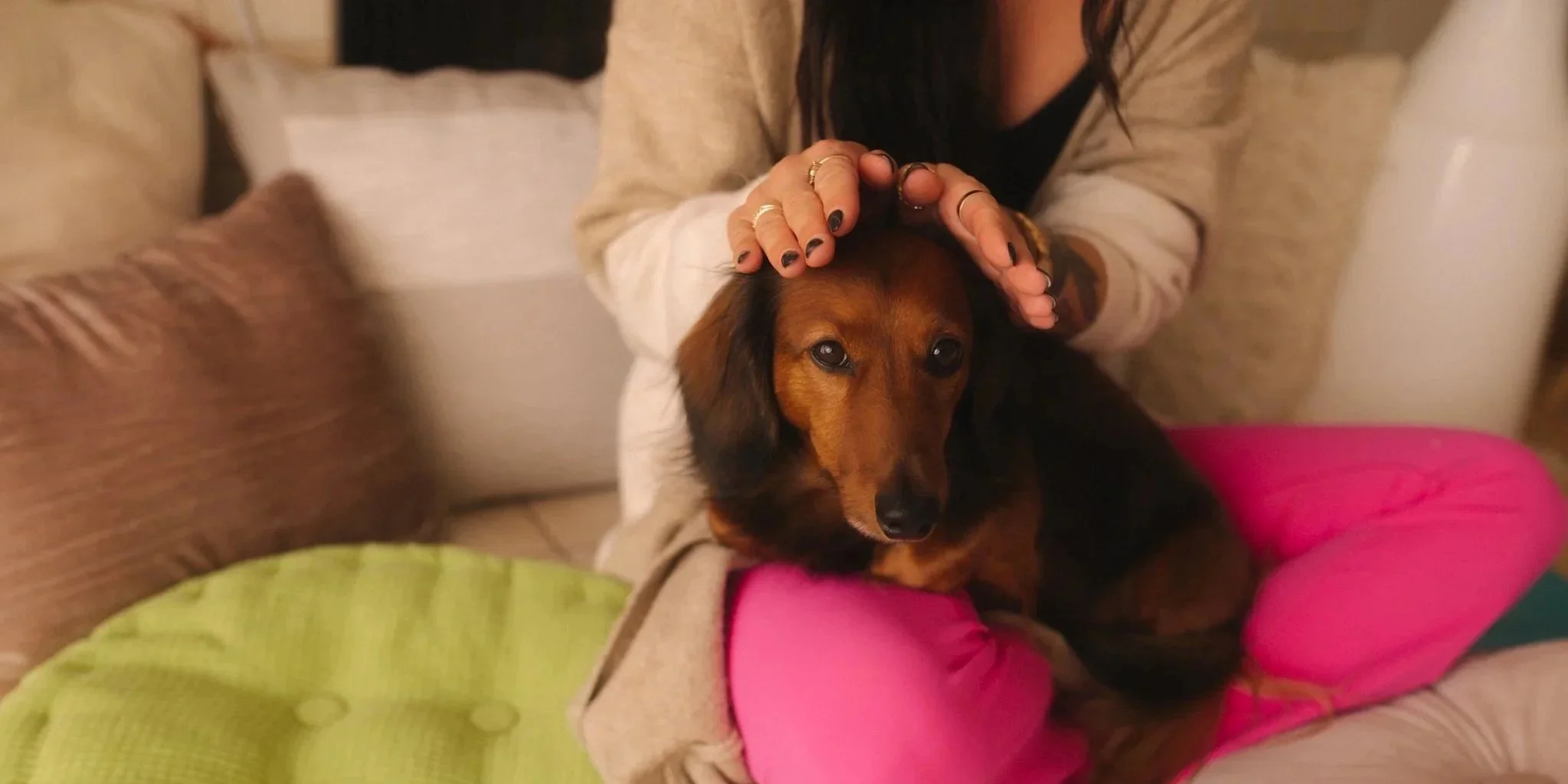 Pet Reiki and Telepathy