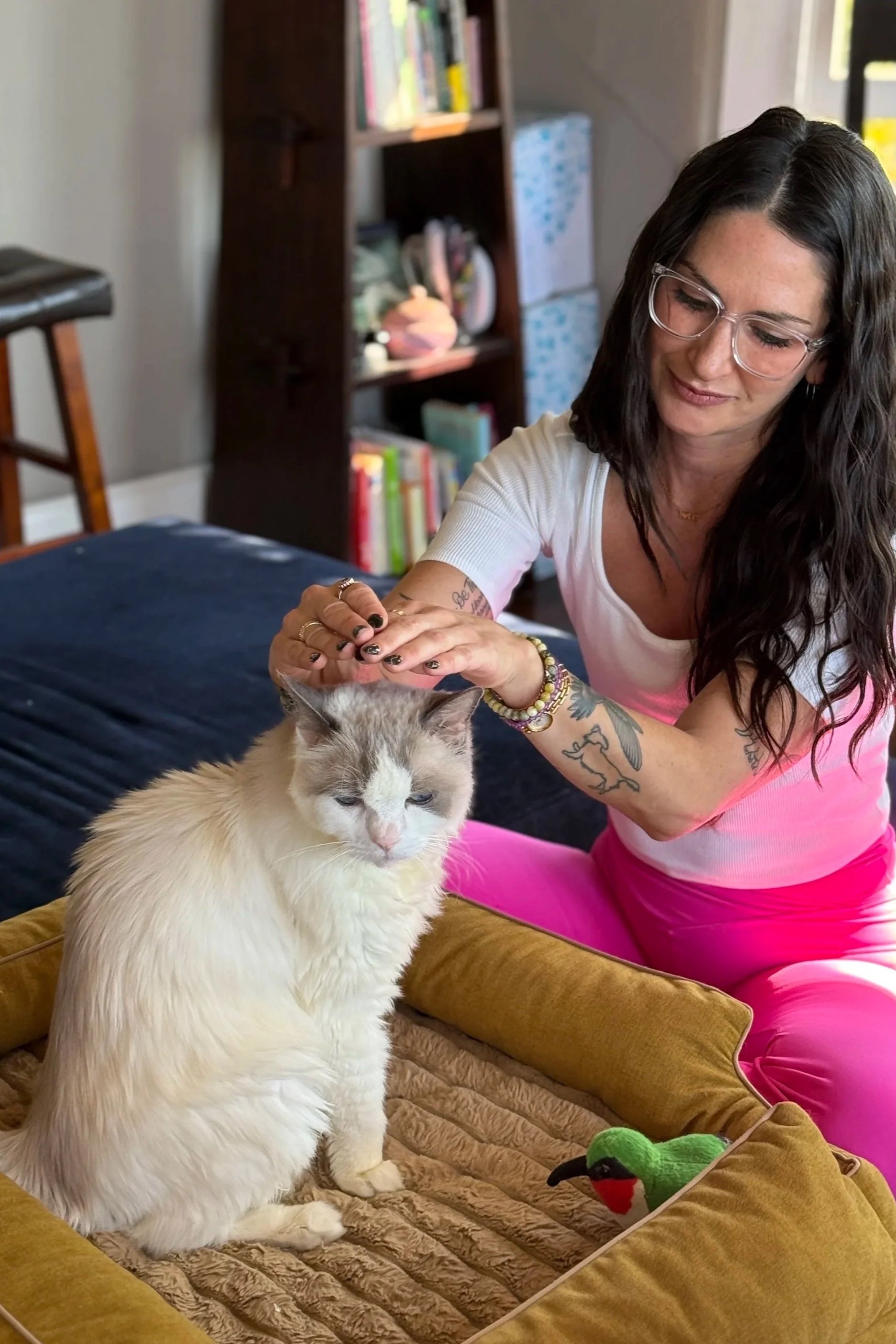 Older health support for pets