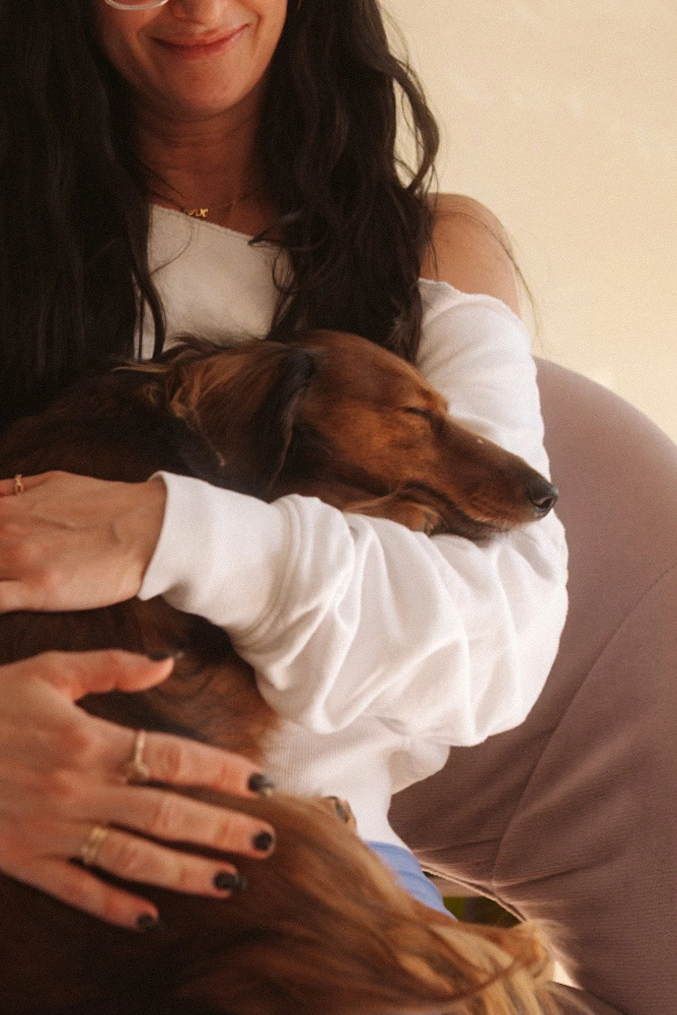 Physical and emotional health support for pets