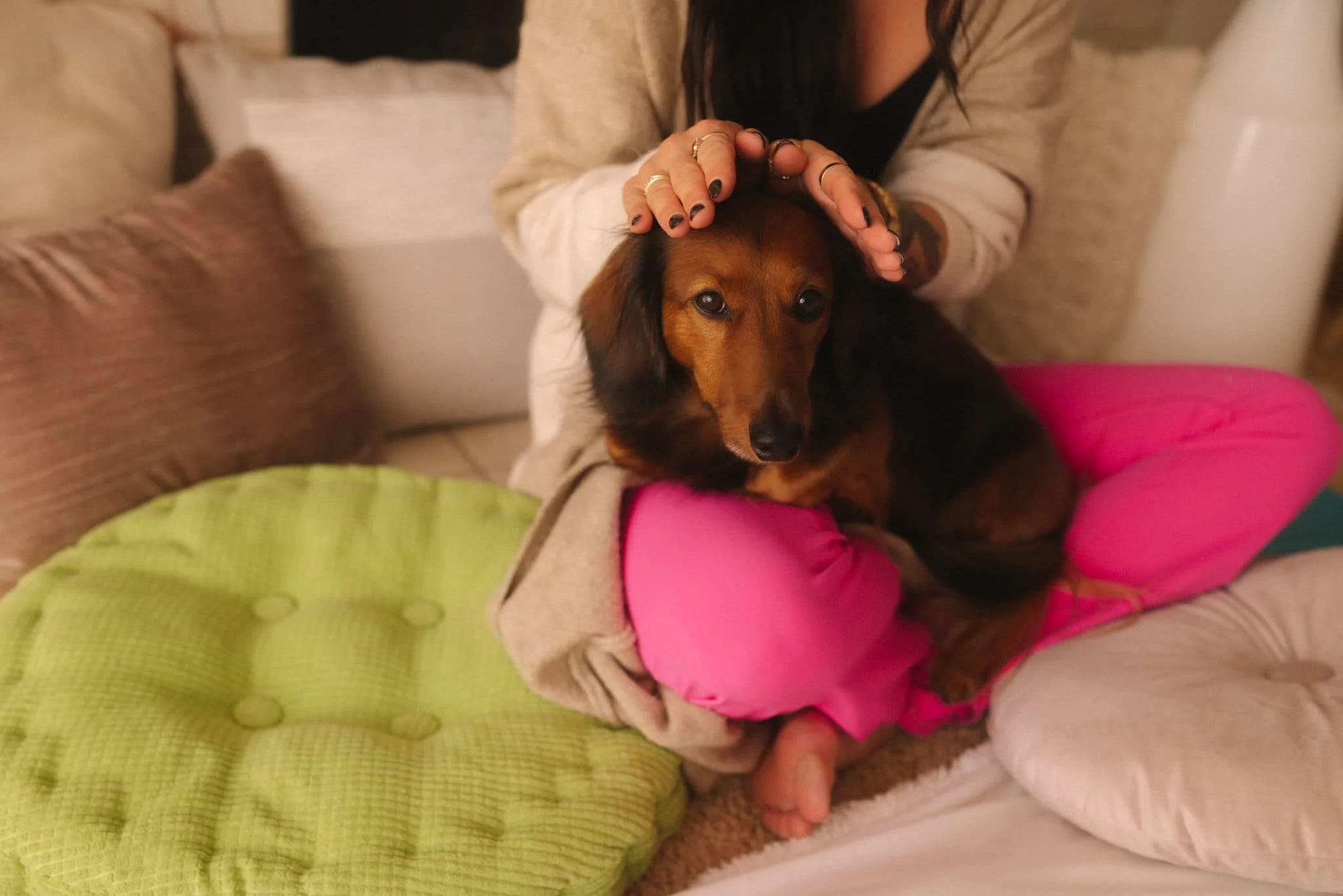 A person with dark hair, wearing a beige jacket and bright pink pants, sitting on the floor with a small brown dog on their lap. The person is gently touching the dog’s head. The dog is looking at the camera with a calm expression. The setting appears to be indoors, with soft lighting and various cushions around.