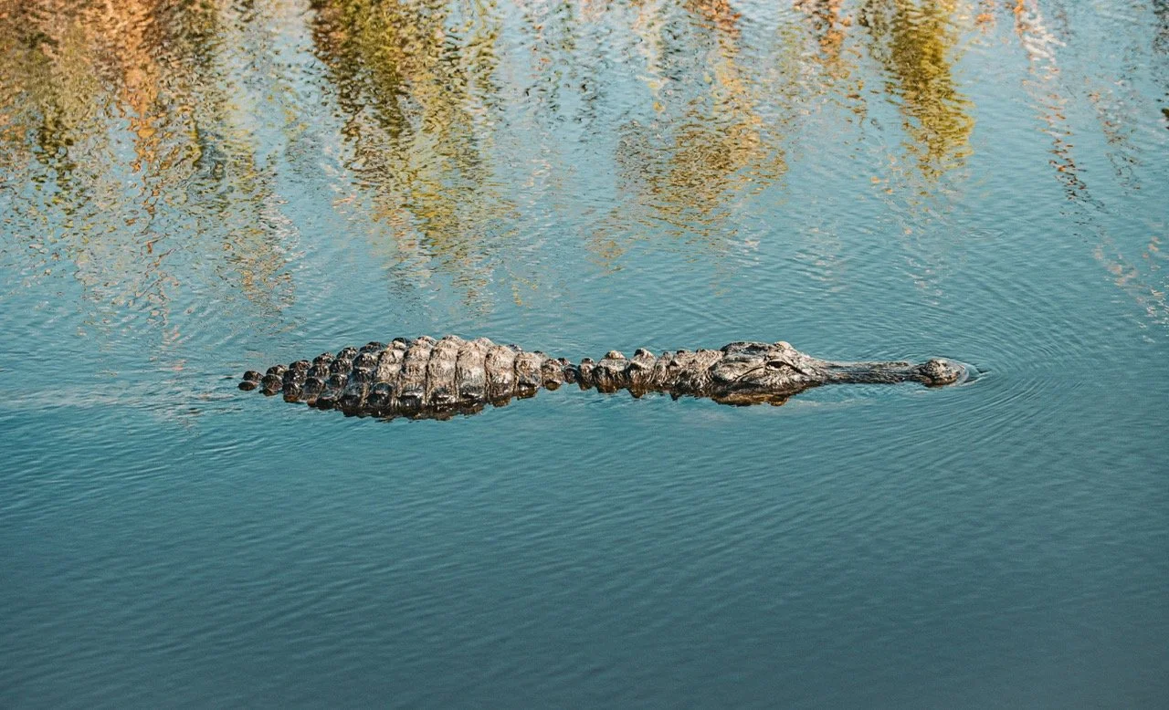 IMG_3128-2 Large.jpeg