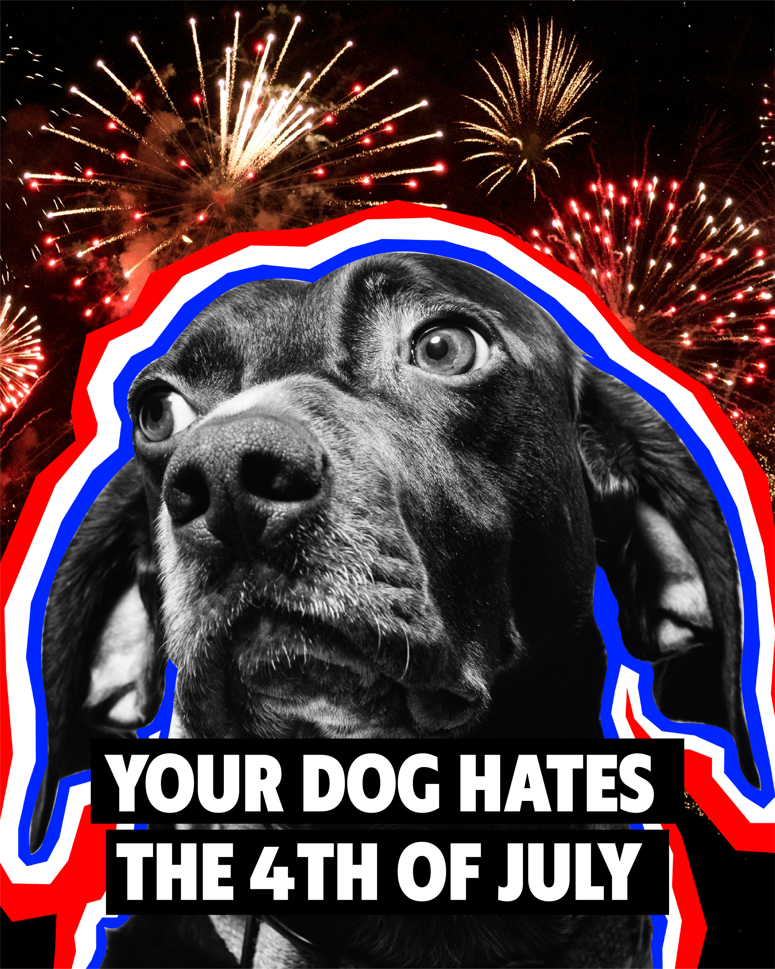 (Blog) Your Dog Hates the 4th of July - Copy-03.png