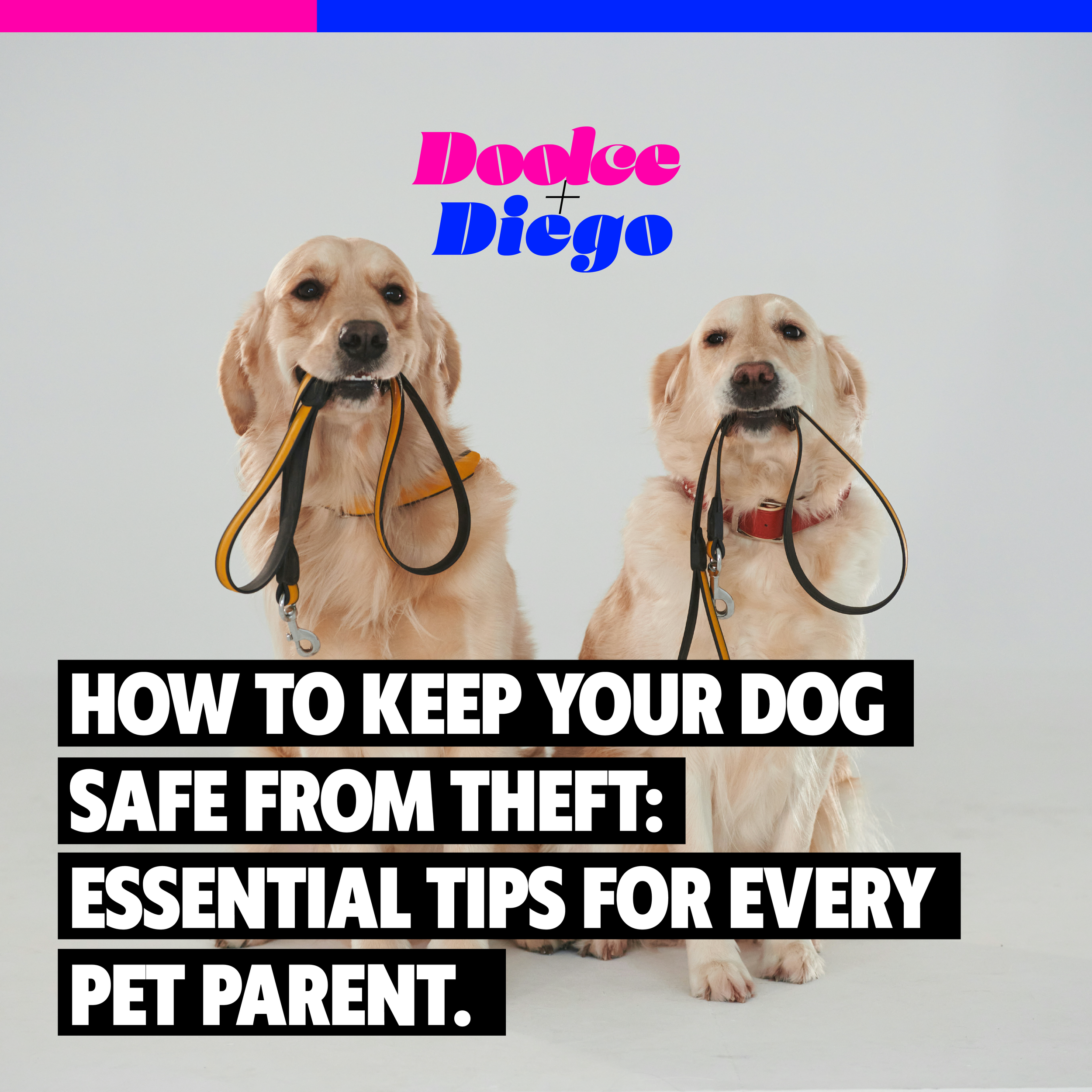 How to Keep Your Dog Safe From Theft_Essential Tips for Every Pet Parent-01.png