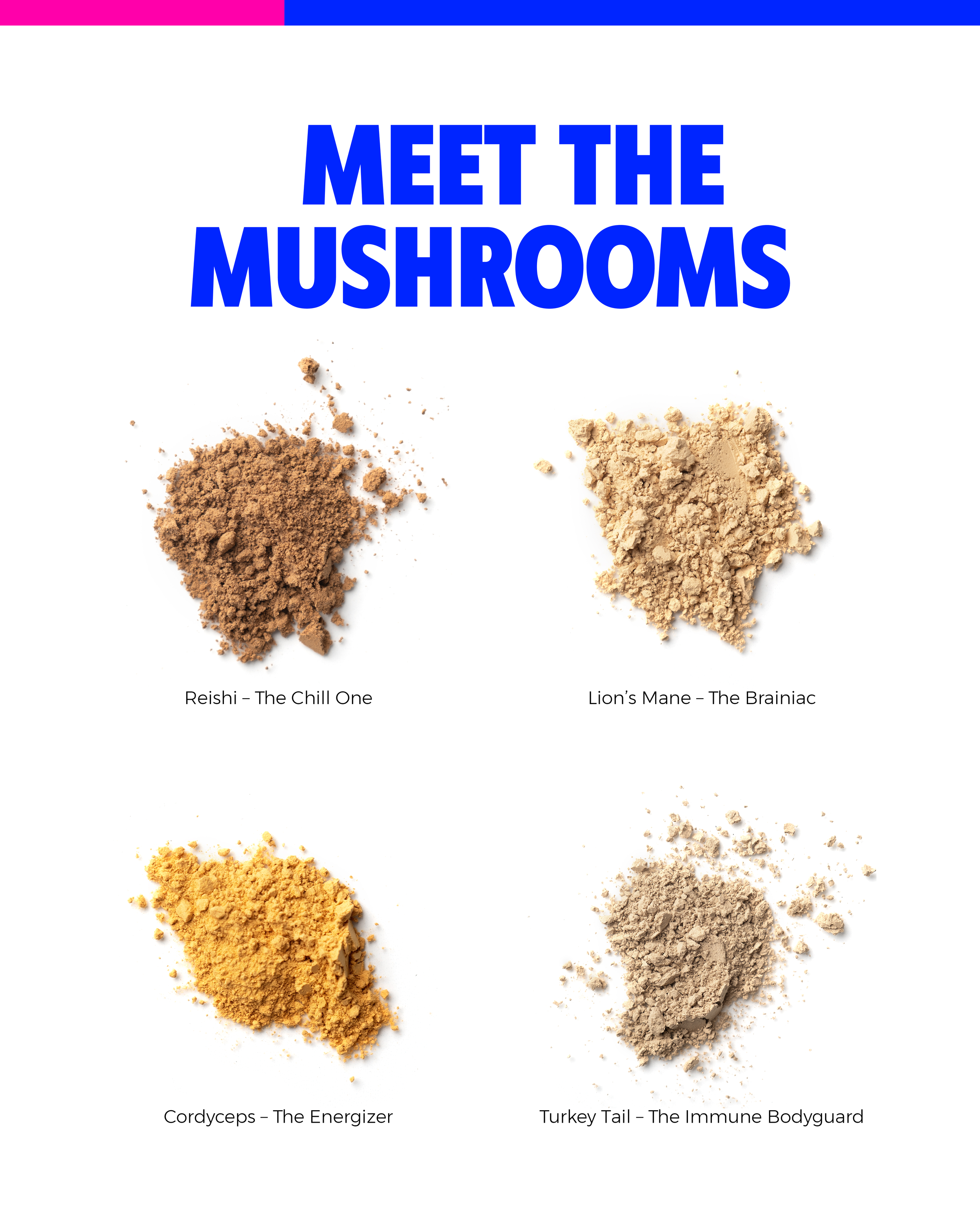 (Social) #WellnessWednesday - The Truth About Functional Mushrooms for Dogs-04.png
