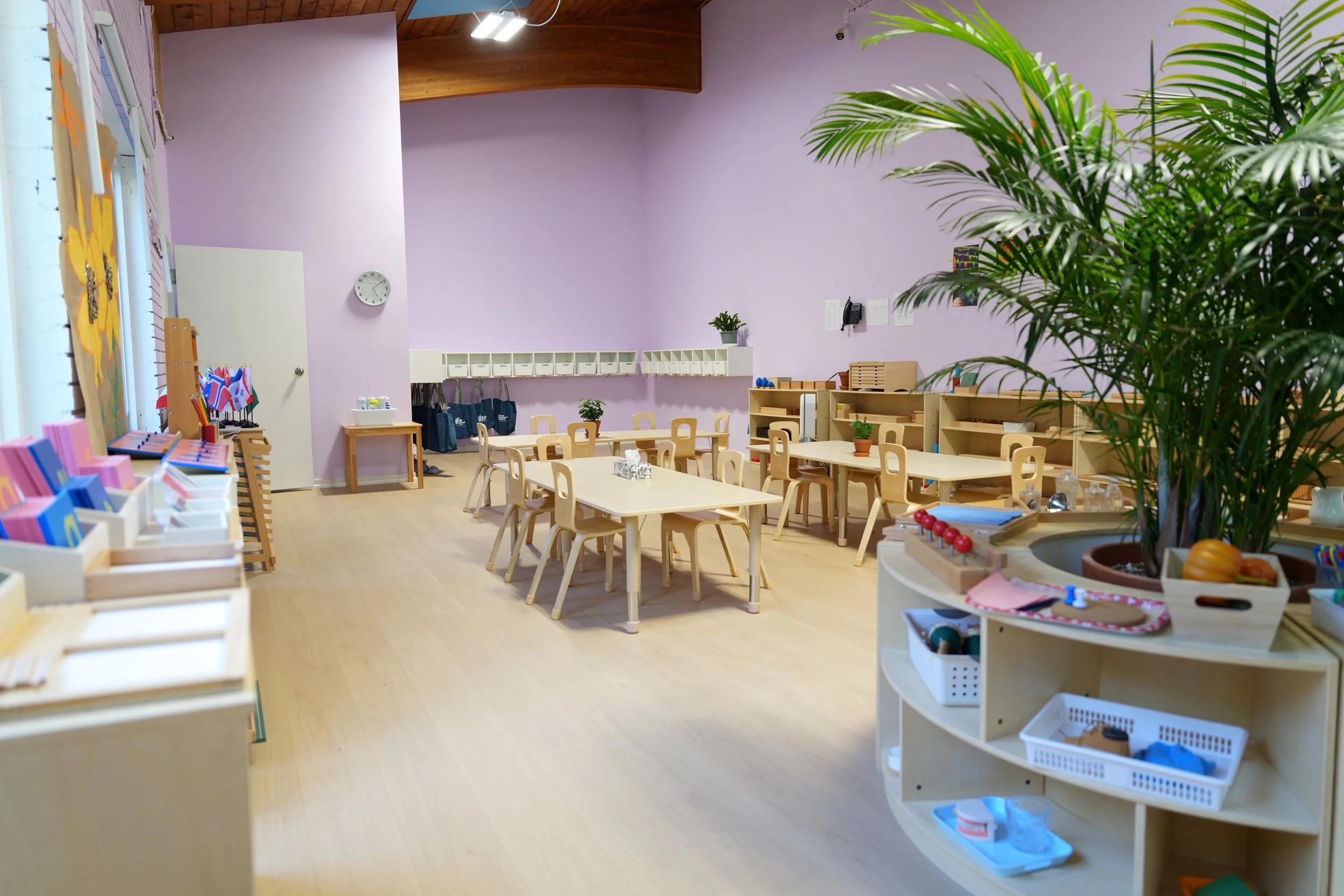 VMS - CASA #1 - 3.JPG