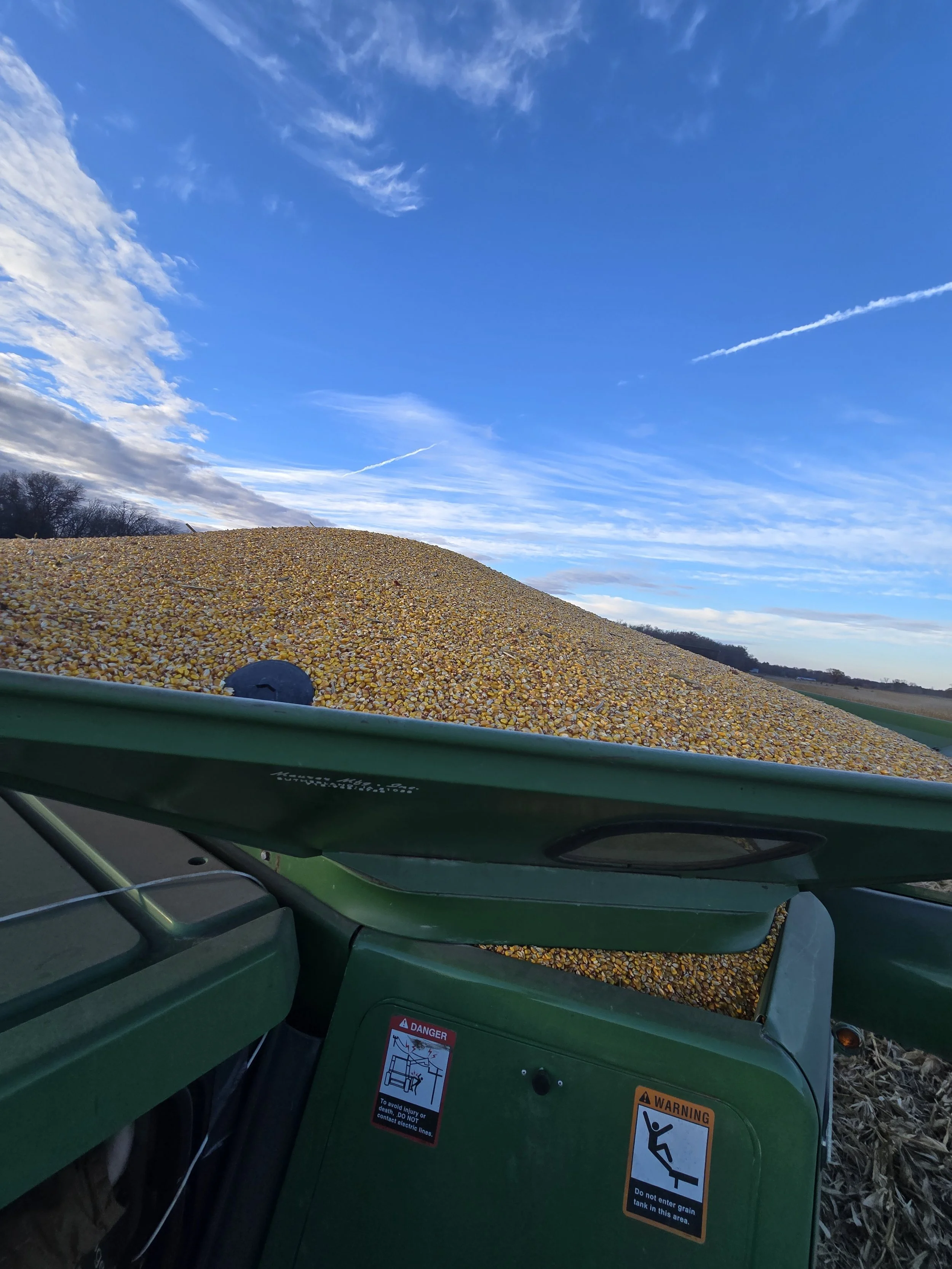 View from a combine harvester showing a large pile of yellow corn kernels in a field, under a blue sky with scattered clouds and contrails.