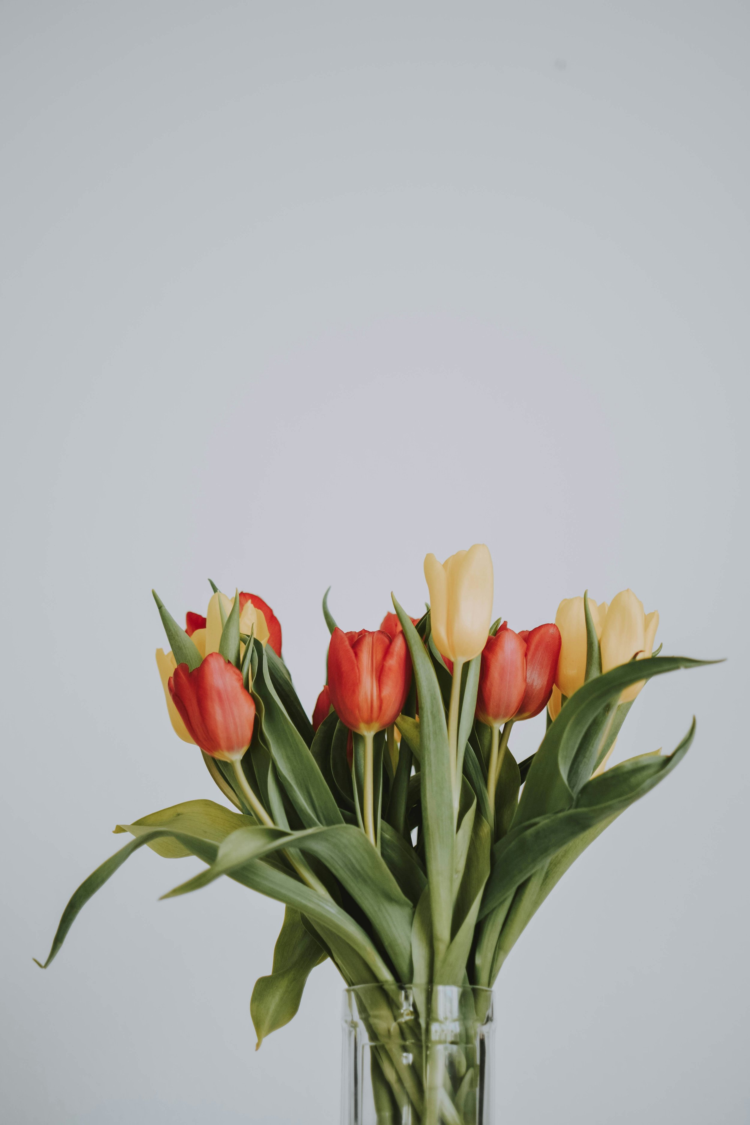 lilartsy-8bIsSb0zTSE-unsplash.jpg