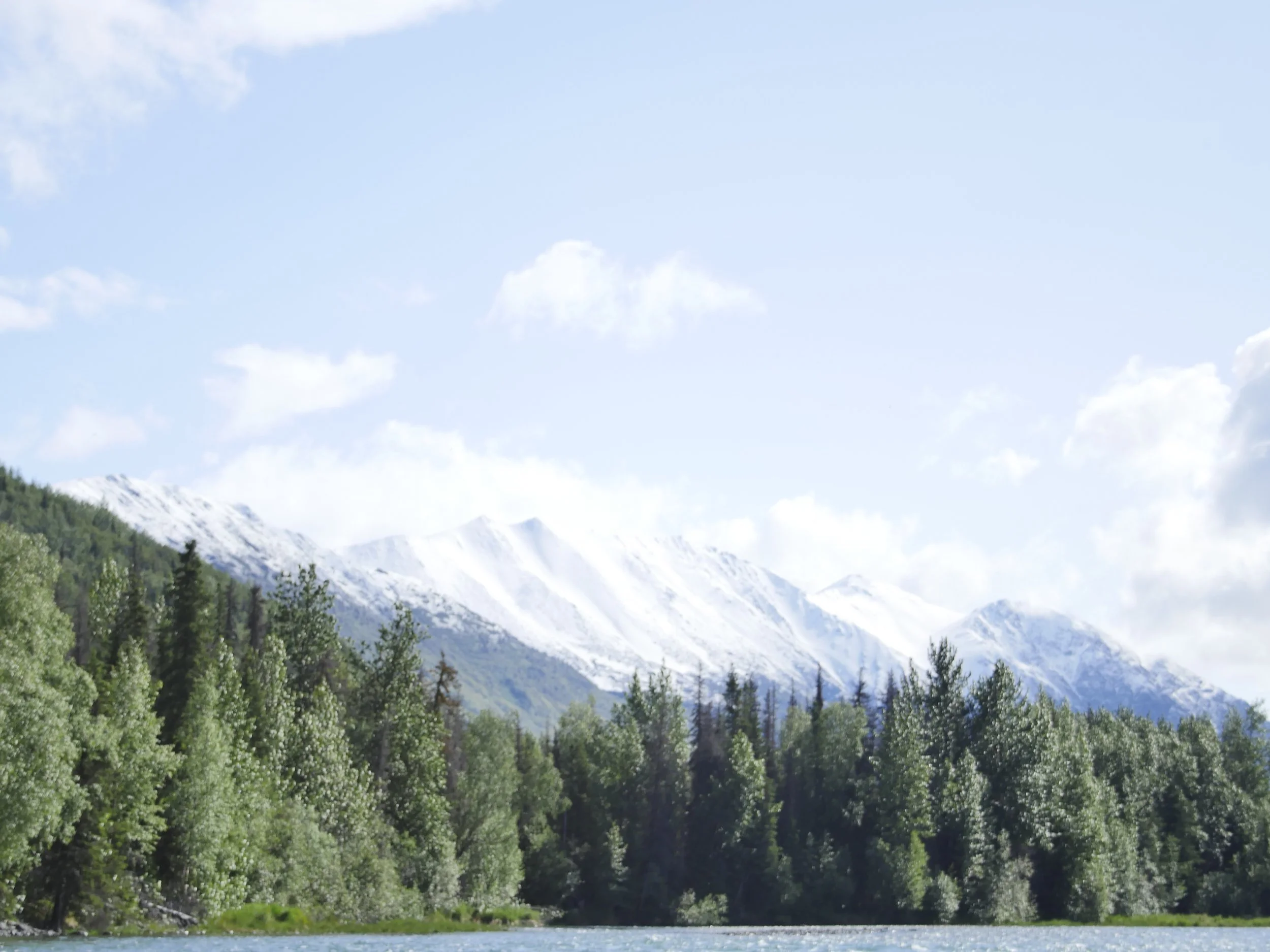 Snow-capped mountains behind a green forest and a body of water.