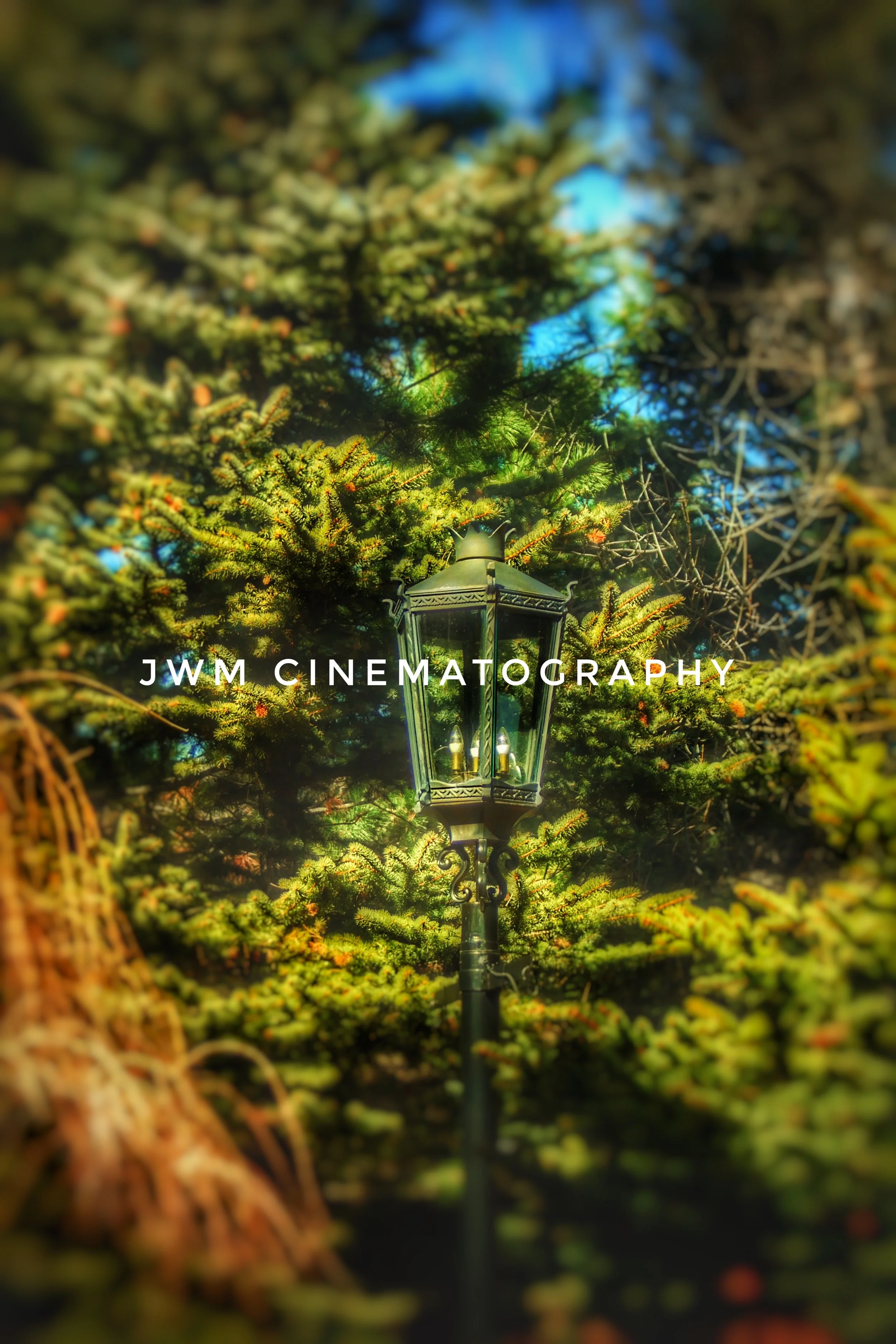 Vintage lamp post surrounded by pine trees with "JWM Cinematography" text overlay.