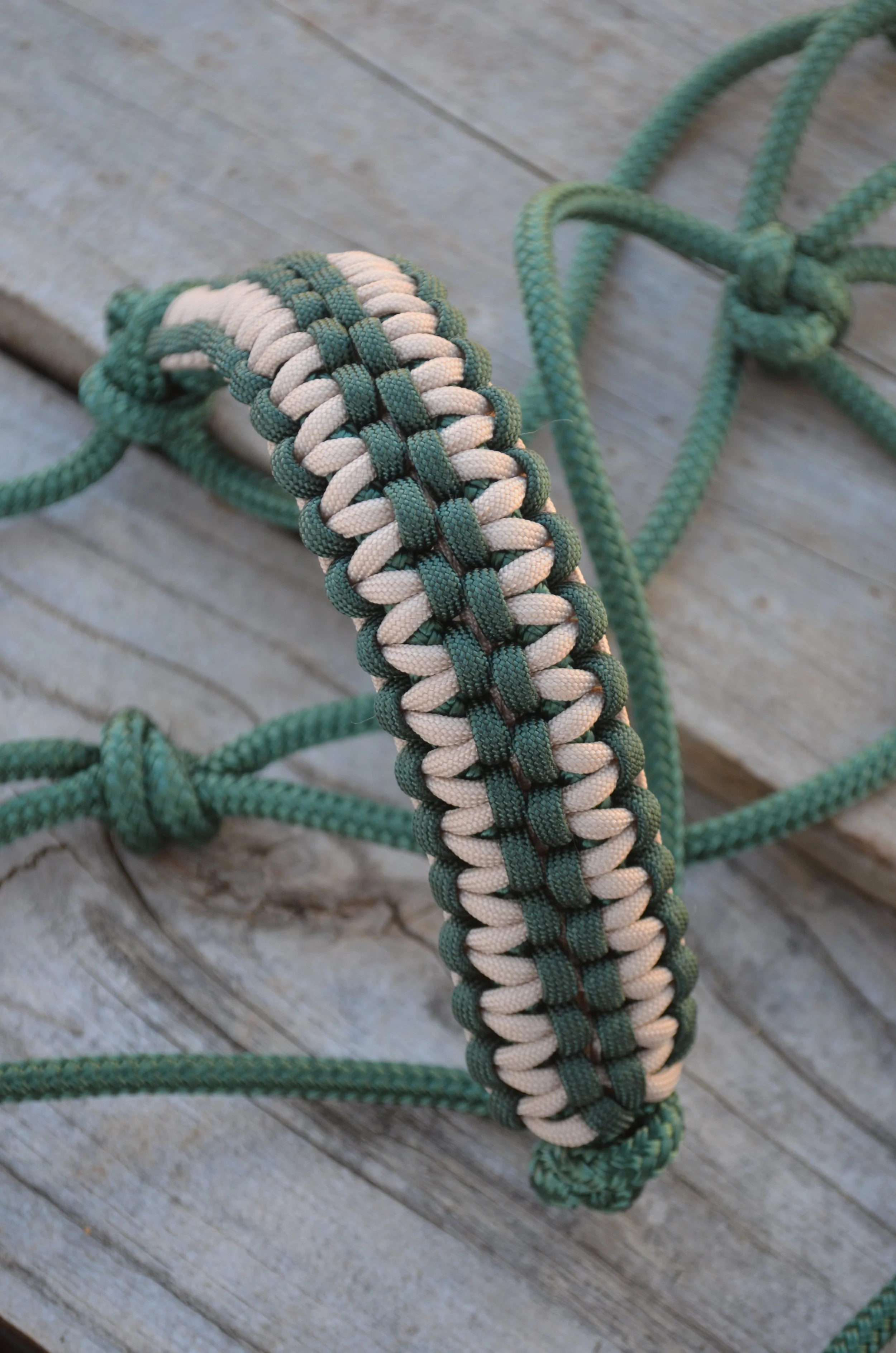 Hunter green halter with wide noseband (beige/hunter green)