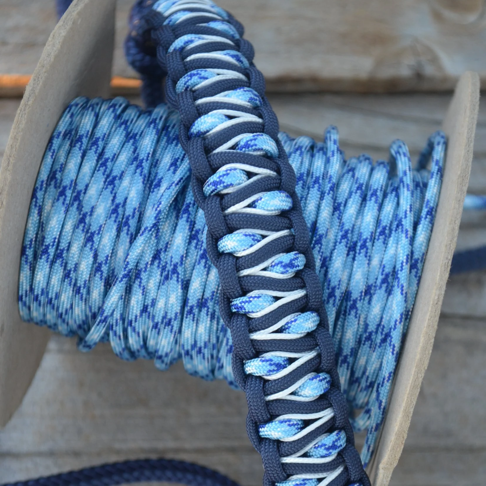 Navy rope halter with snake braid noseband (blue mix)