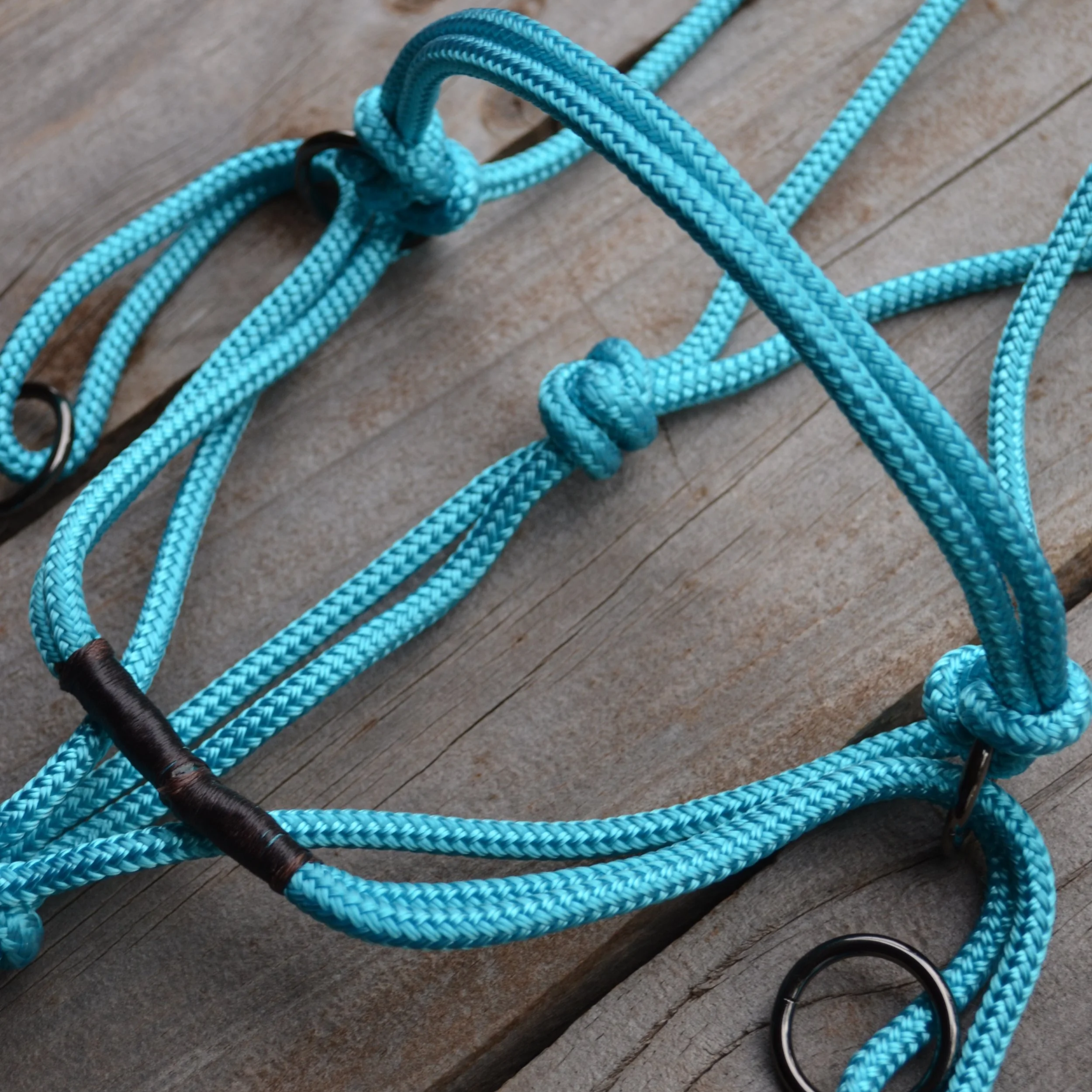 Bitless bridle riding