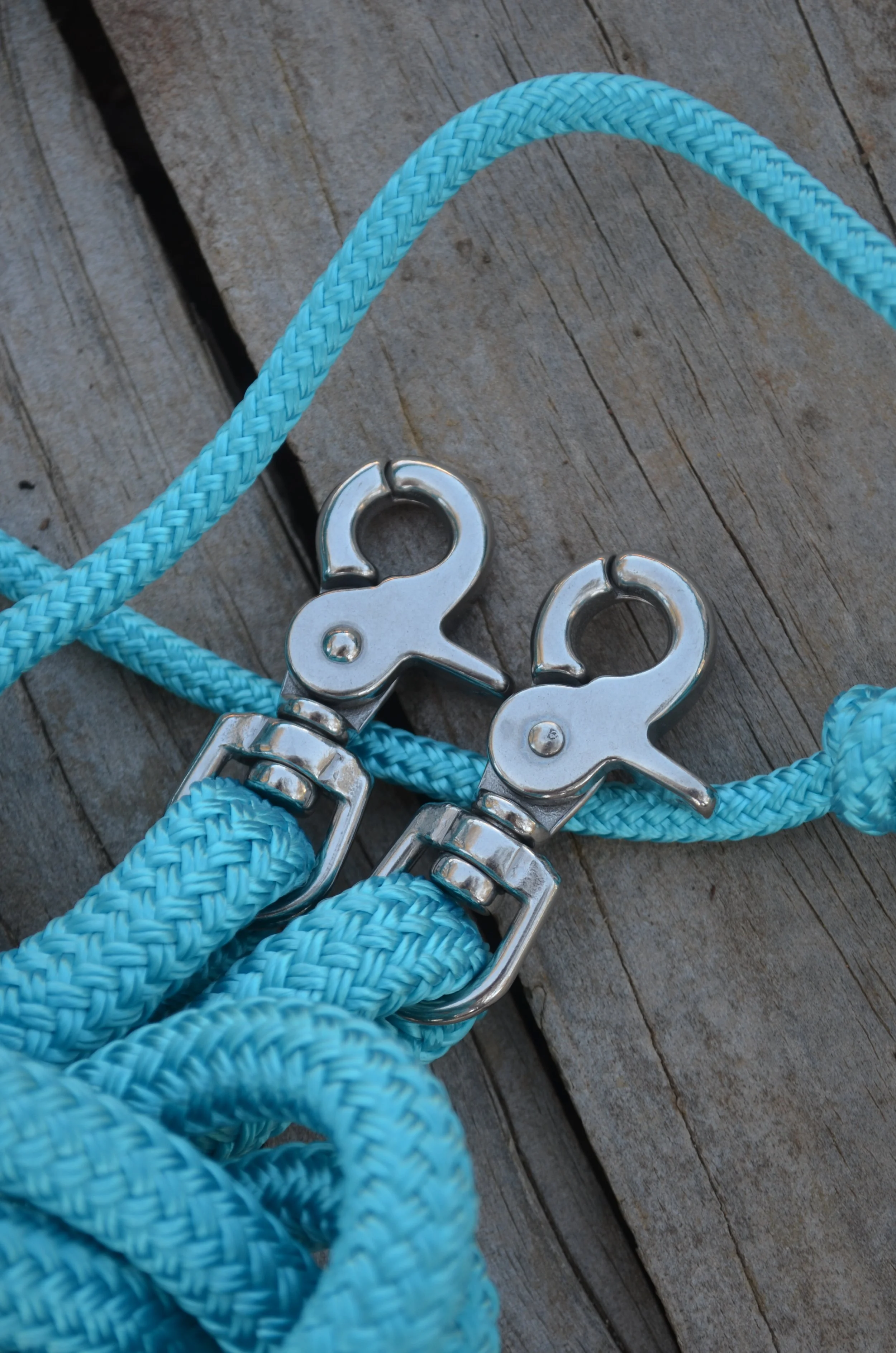 Reins (choice of colour)