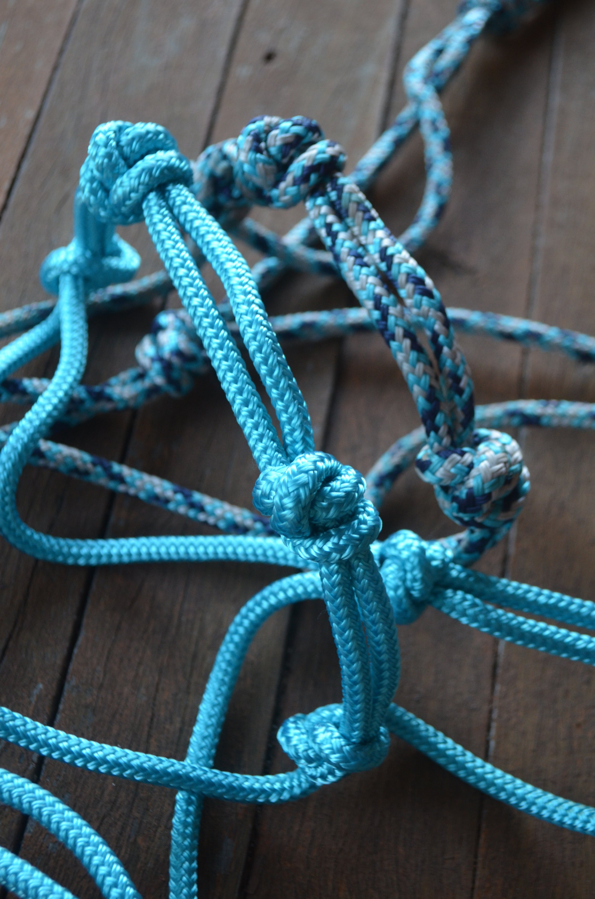 4 knot rope halter (CHOICE OF COLOUR)