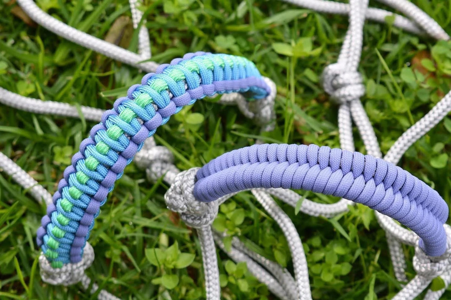 Silver rope halter with custom noseband