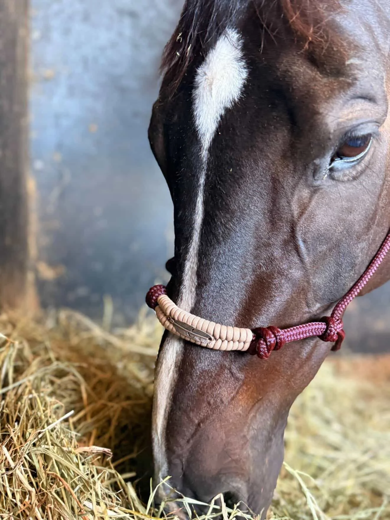 Burgundy 4 knot rope halter with embroidered noseband (feather charm) (Beige)