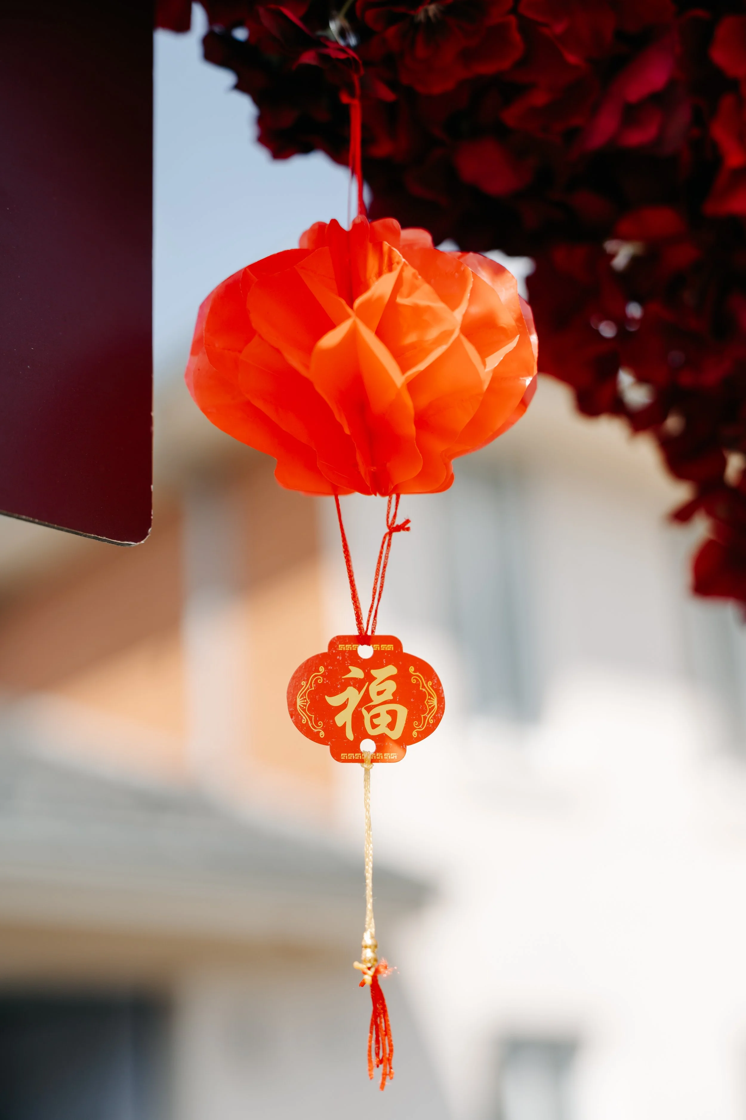 Michelle (15 of 50).jpg