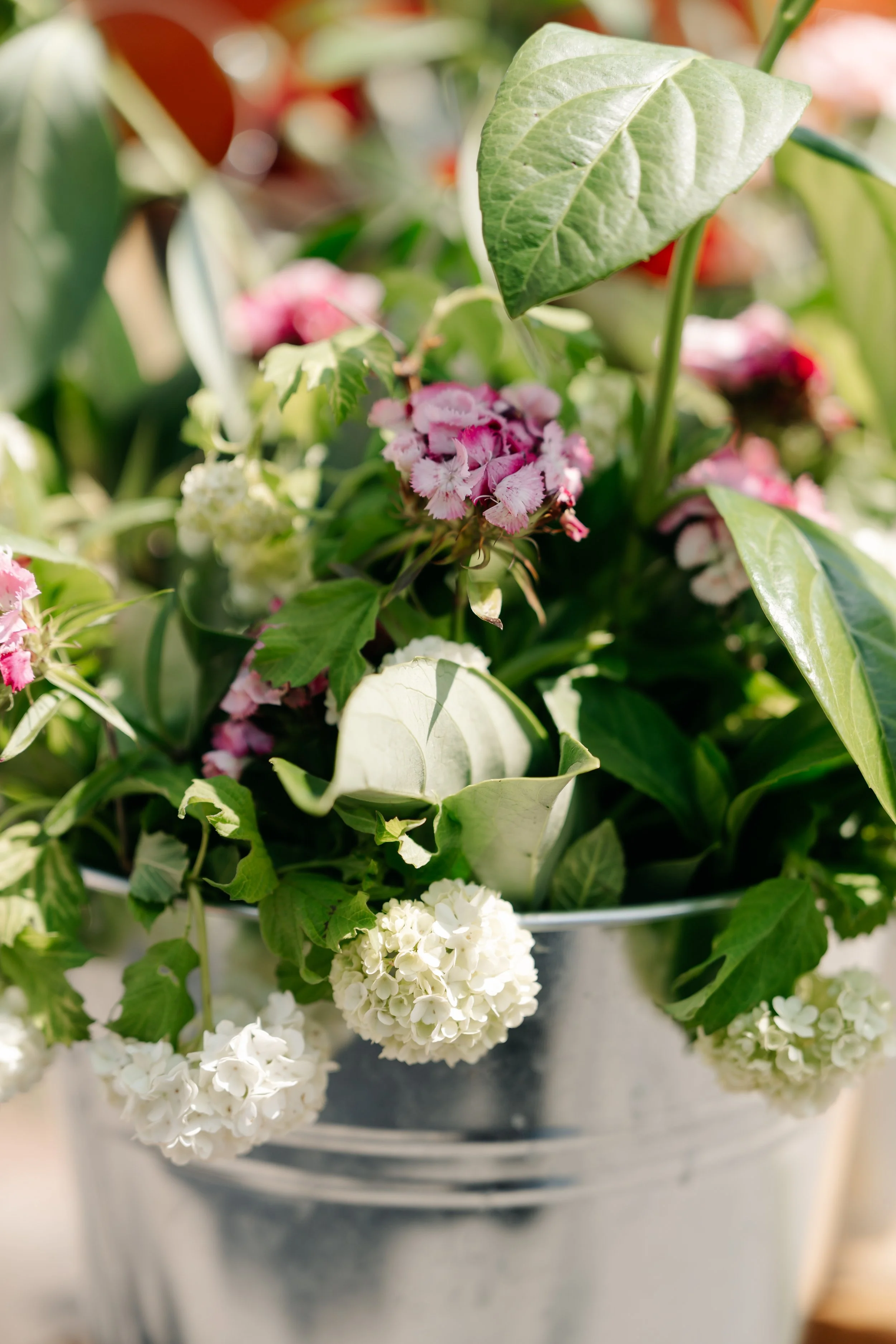 Michelle (20 of 50).jpg