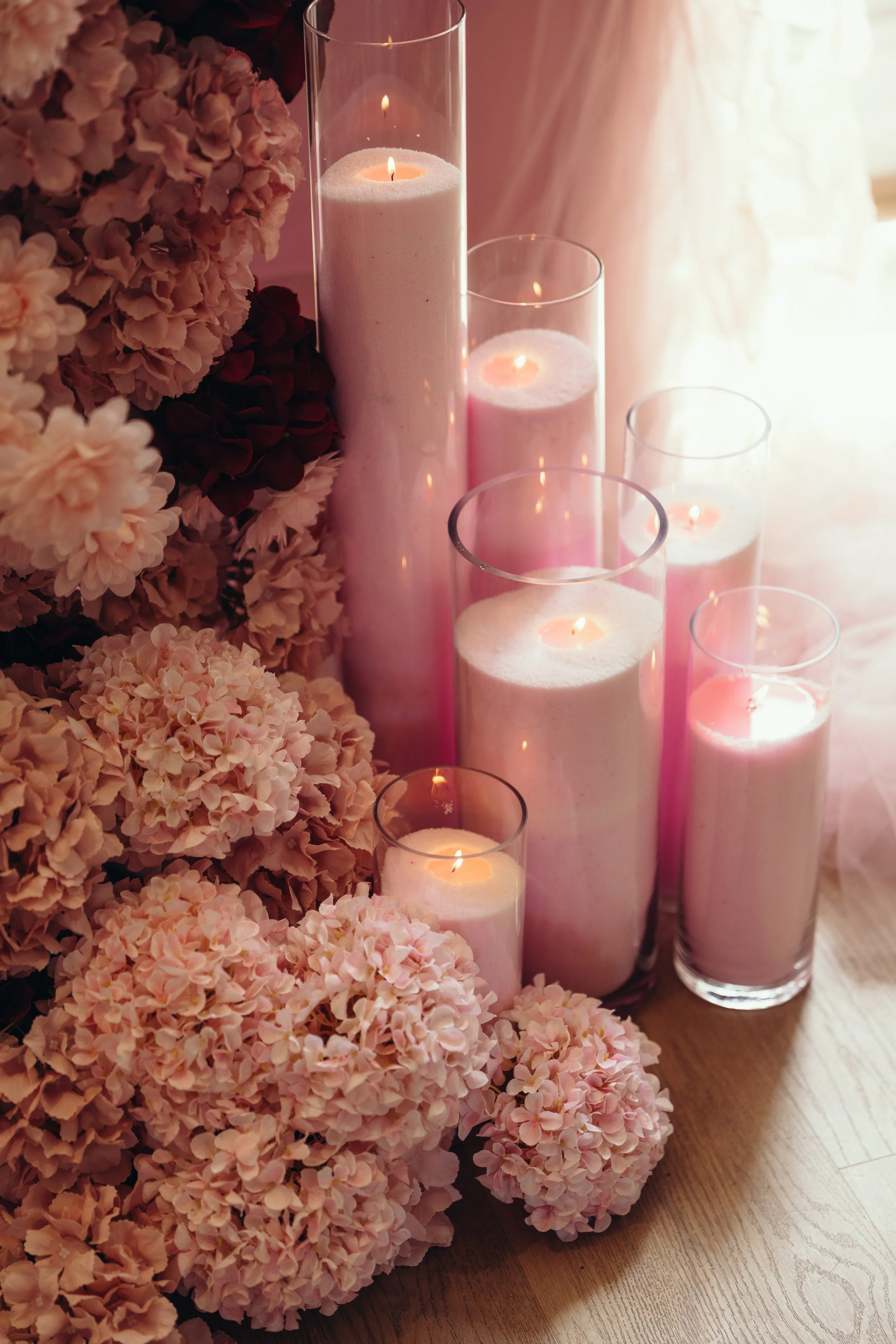 Aurelia (10 of 16).JPG