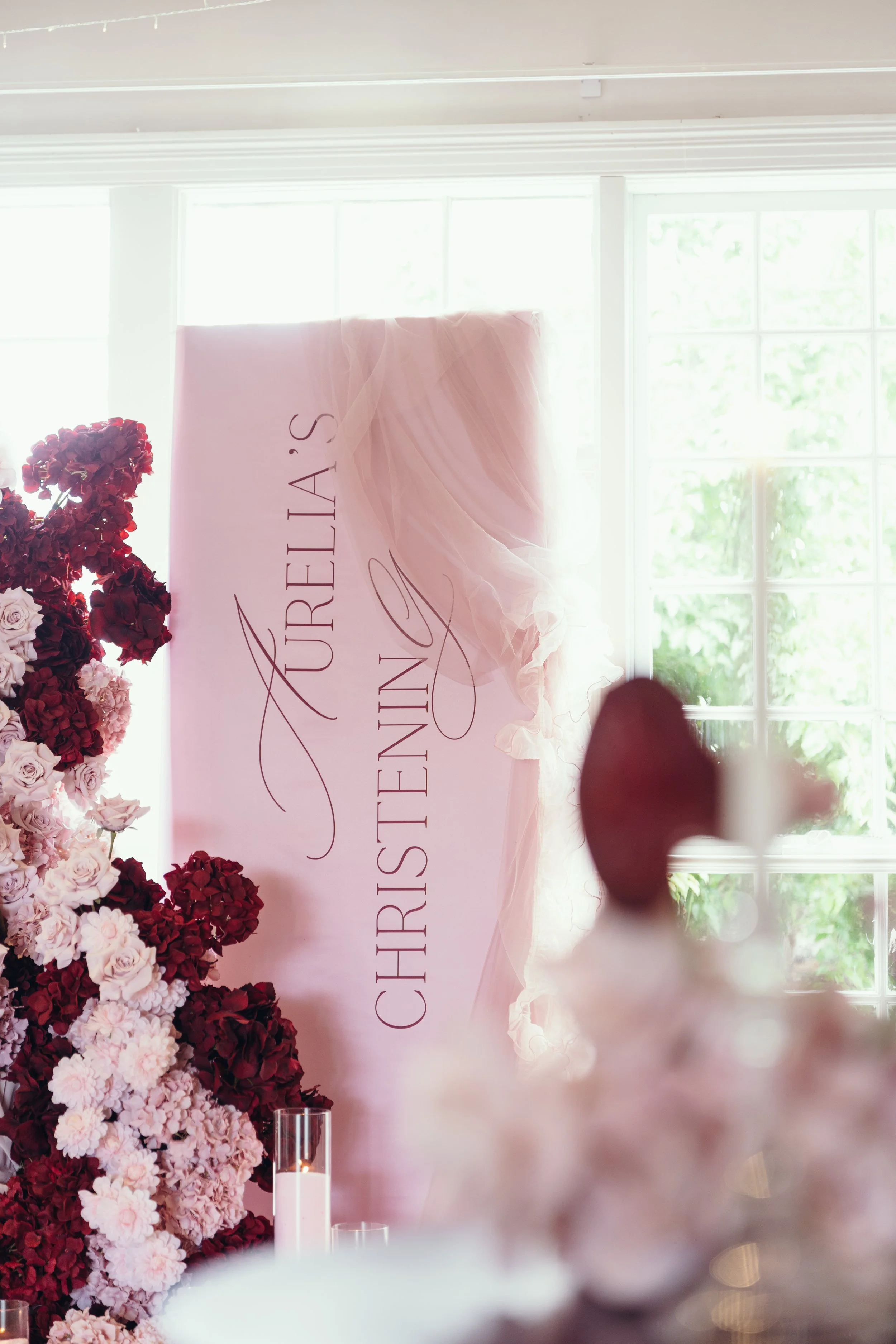 Aurelia (2 of 16).JPG