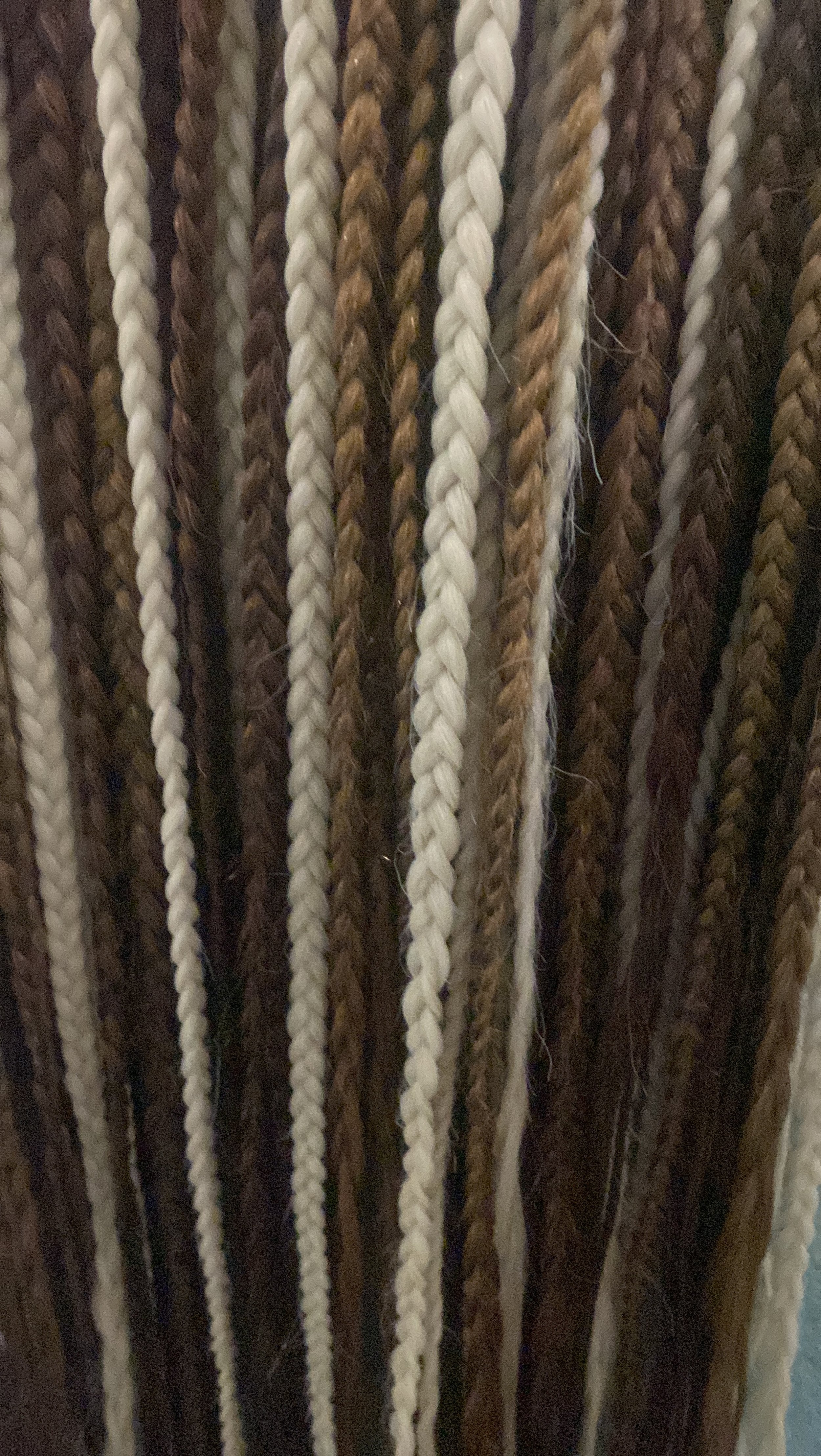 20230319_014116141_iOS.jpg