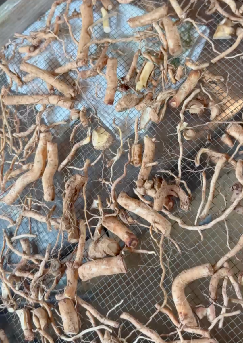 Ashwagandha Tincture