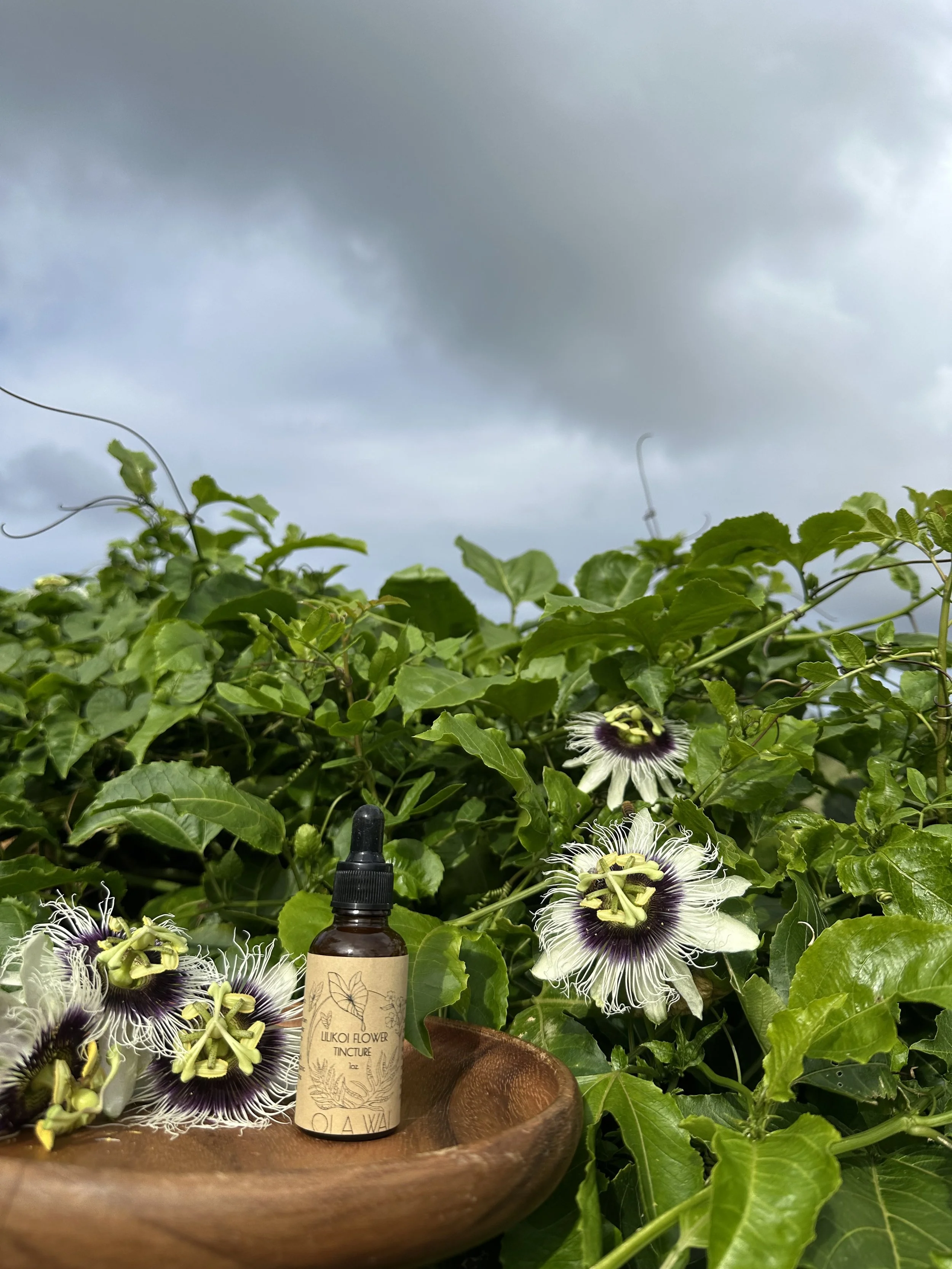 Lilikoi Flower Tincture