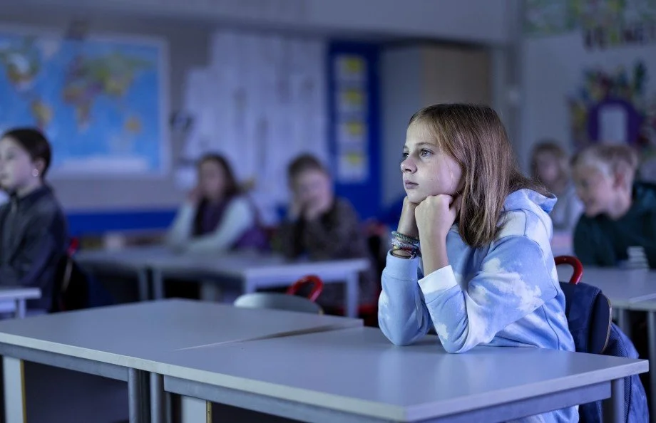 Classroom Bullying and Moral Development&nbsp;