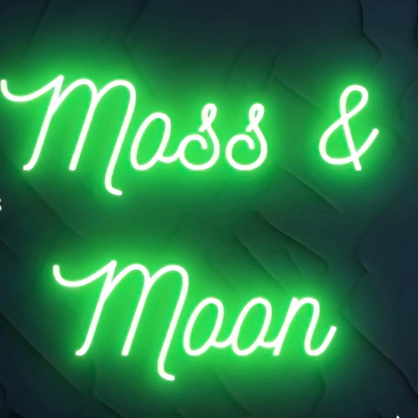 ✨ Exciting News! ✨
Two Cat Tarot is opening a physical space — and I am not doing it alone! I've teamed up with three incredible women to bring you Moss & Moon 🌿🌙
Moss & Moon will be a cozy, intentional space for:
🔮 Appointment-bas