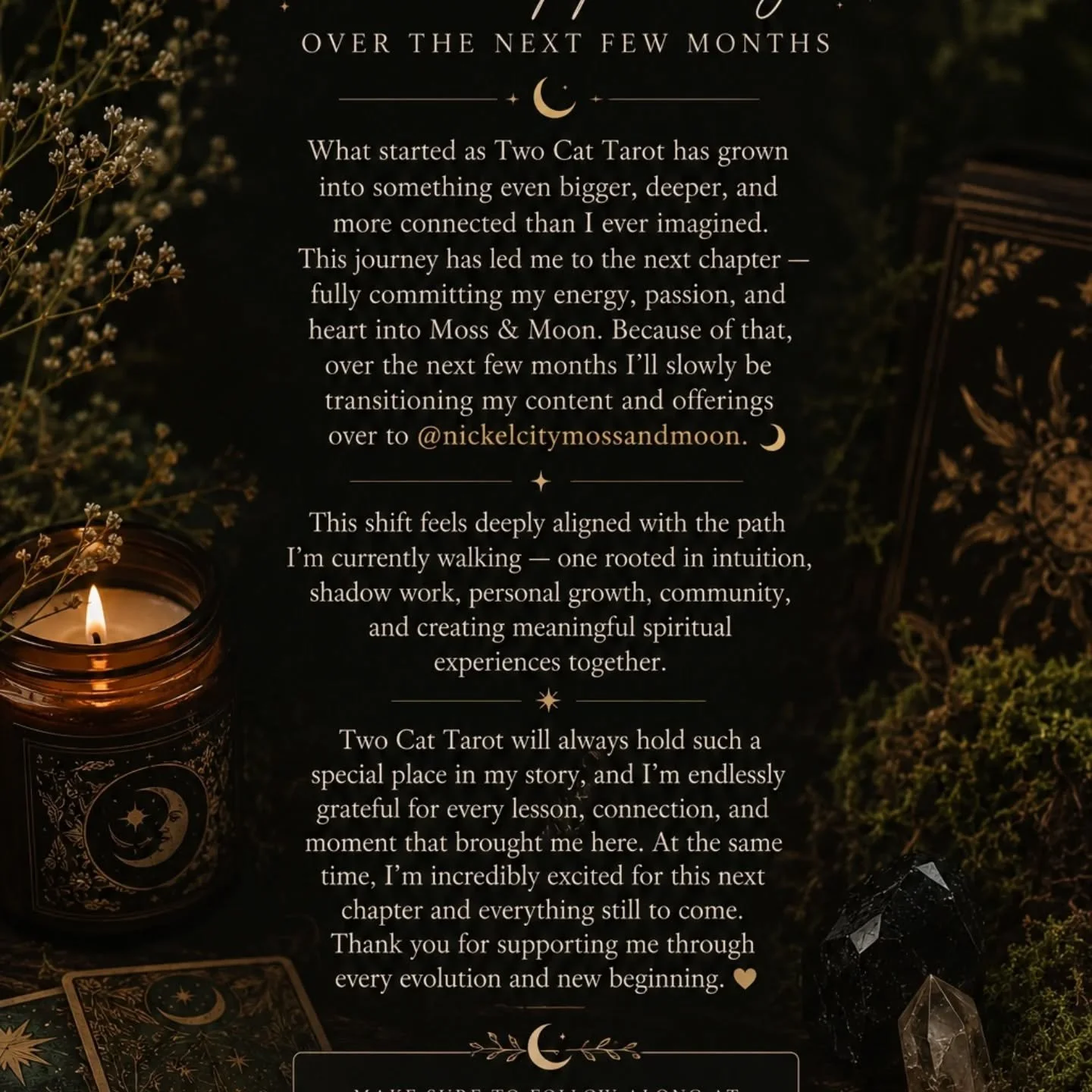 Two Cat Tarot was the beginning of a journey &mdash; and now that journey is growing into something even bigger......

Make sure to follow @nickelcitymossandmoon!! 

#TarotCommunity #tarotreadersofinstagram ##tarotreadings #IntuitiveReadings