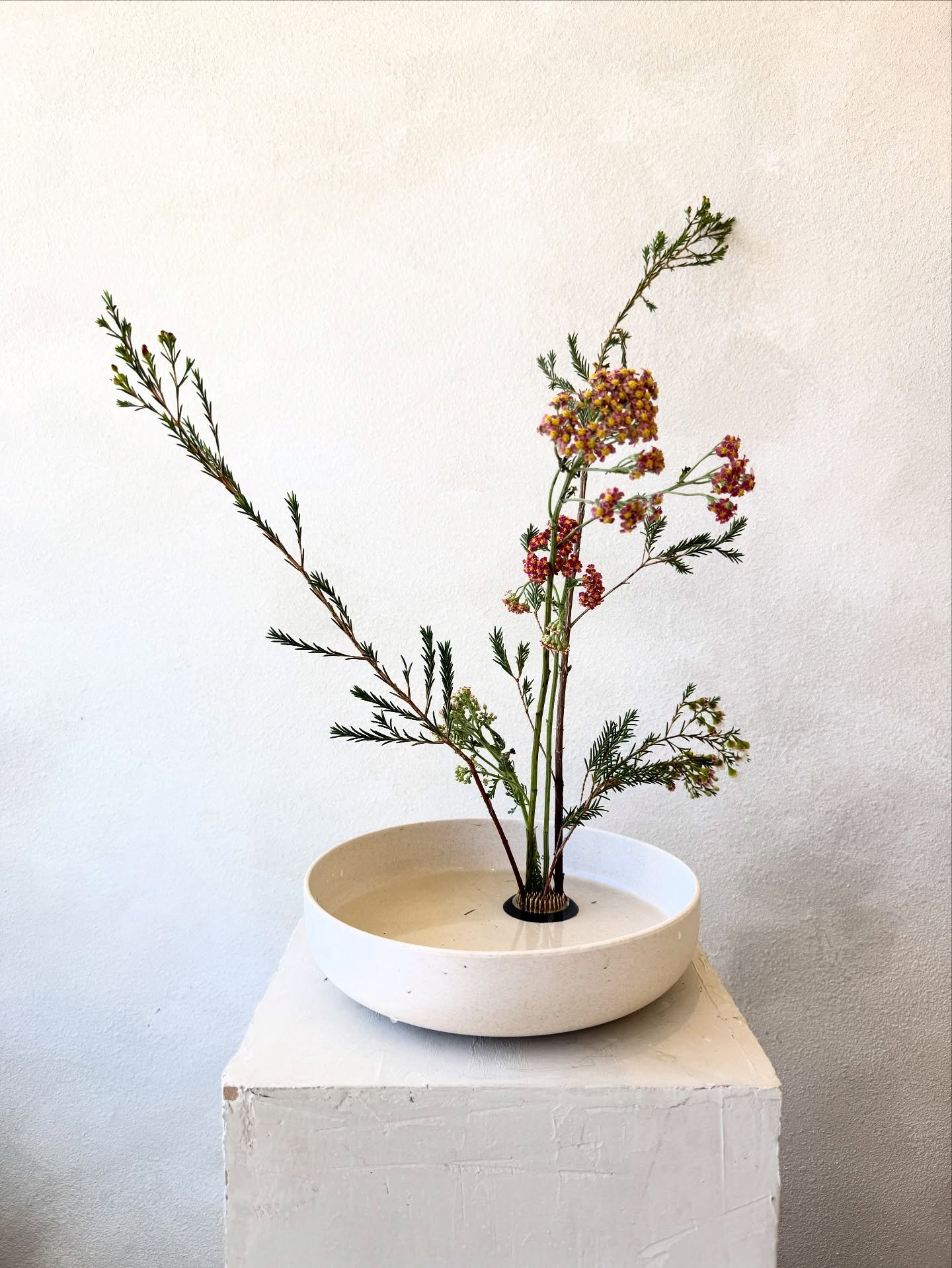 Seasonal changes are underway 🍂