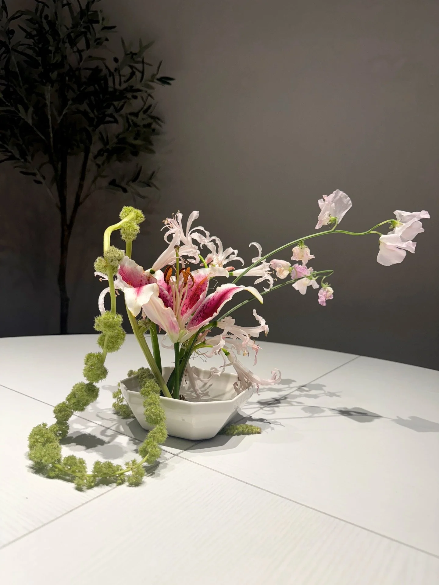 Amaranth, rose lily, nerine lilies, and sweet peas. Absolutely taken with the silhouettes of these. 

Something about this photo gives *moonlight* 🌕🌖🌗