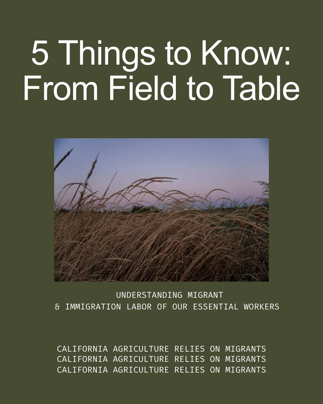 Support @chirla_org for immigration advocacy, education and referrals, @sanysidrohealth for low-cost healthcare for migrant &amp; agricultural workers, and @campesinasunite for advocacy and leadership for farmworker women.