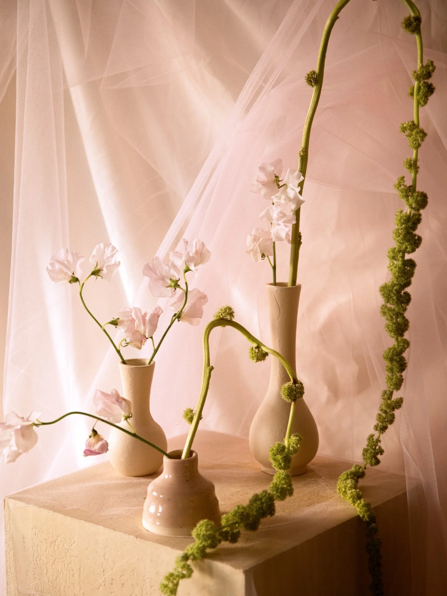 @lateaugust.studio just gets me. 🌱