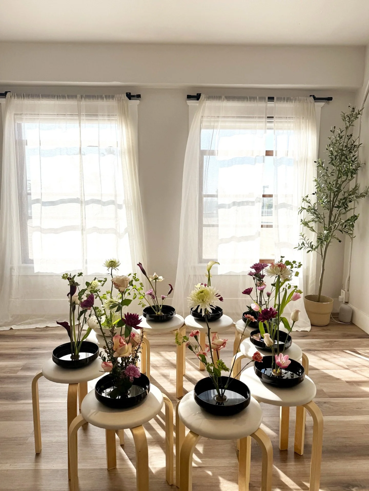 Always left a little awestruck.  Thank you to everyone that attended last weekend ☺️