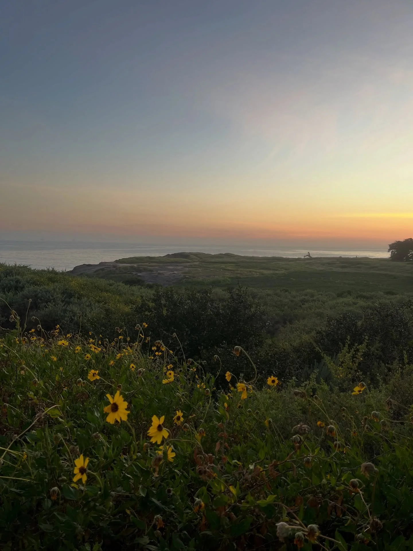 How Santa Barbara's going: 😌🌄👒🌻🍳