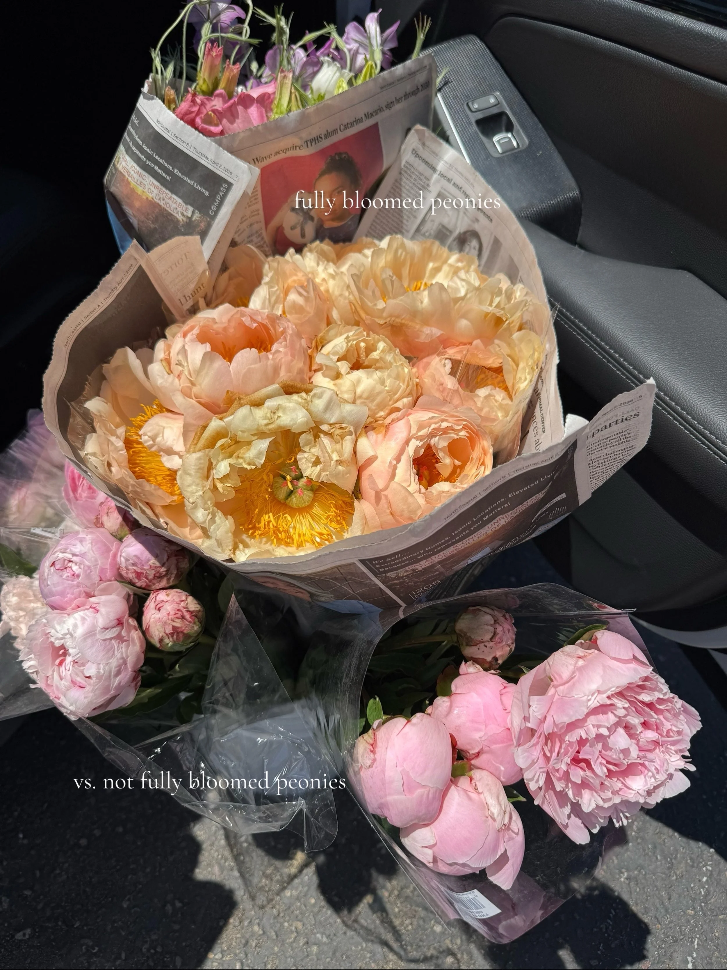 flower market diaries: all the stages of life in one photo! from bud to bloom to decay