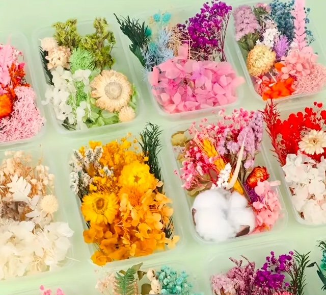 flowers.jpeg