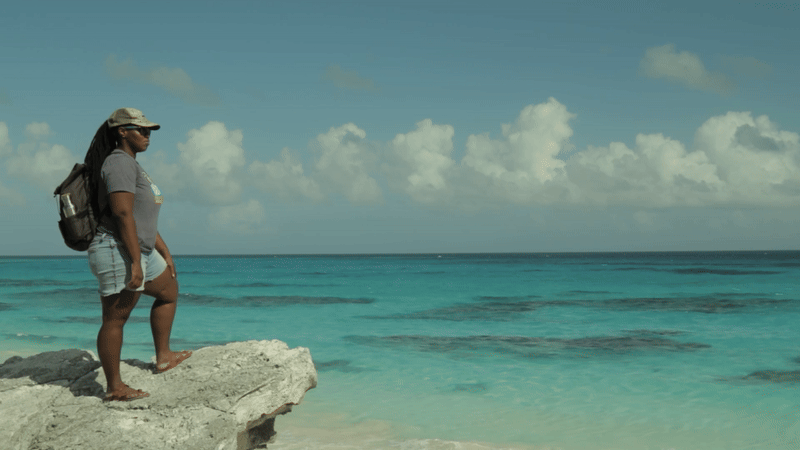ocean-ezgif.com-video-to-gif-converter.gif