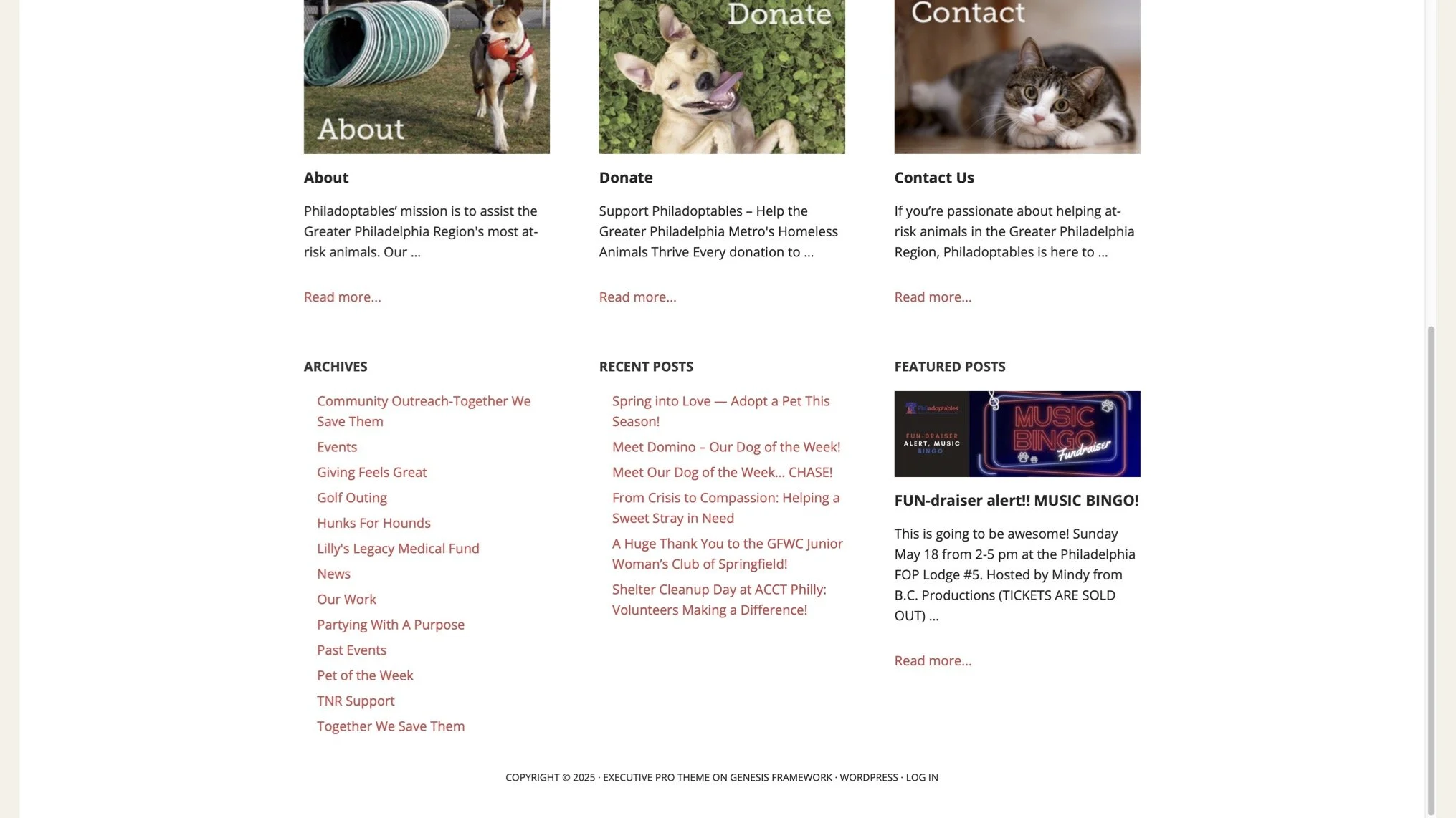 ST website case study copy.jpg