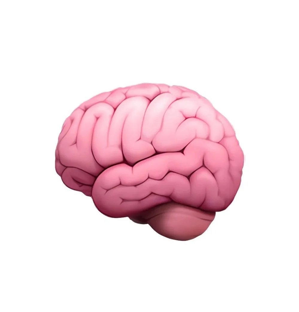 A digital illustration of a human brain with a pink color, shown against a white background.