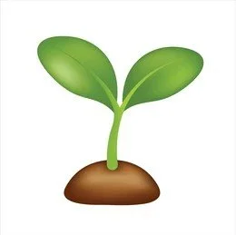 A small green sprout with two leaves emerging from a mound of brown soil.