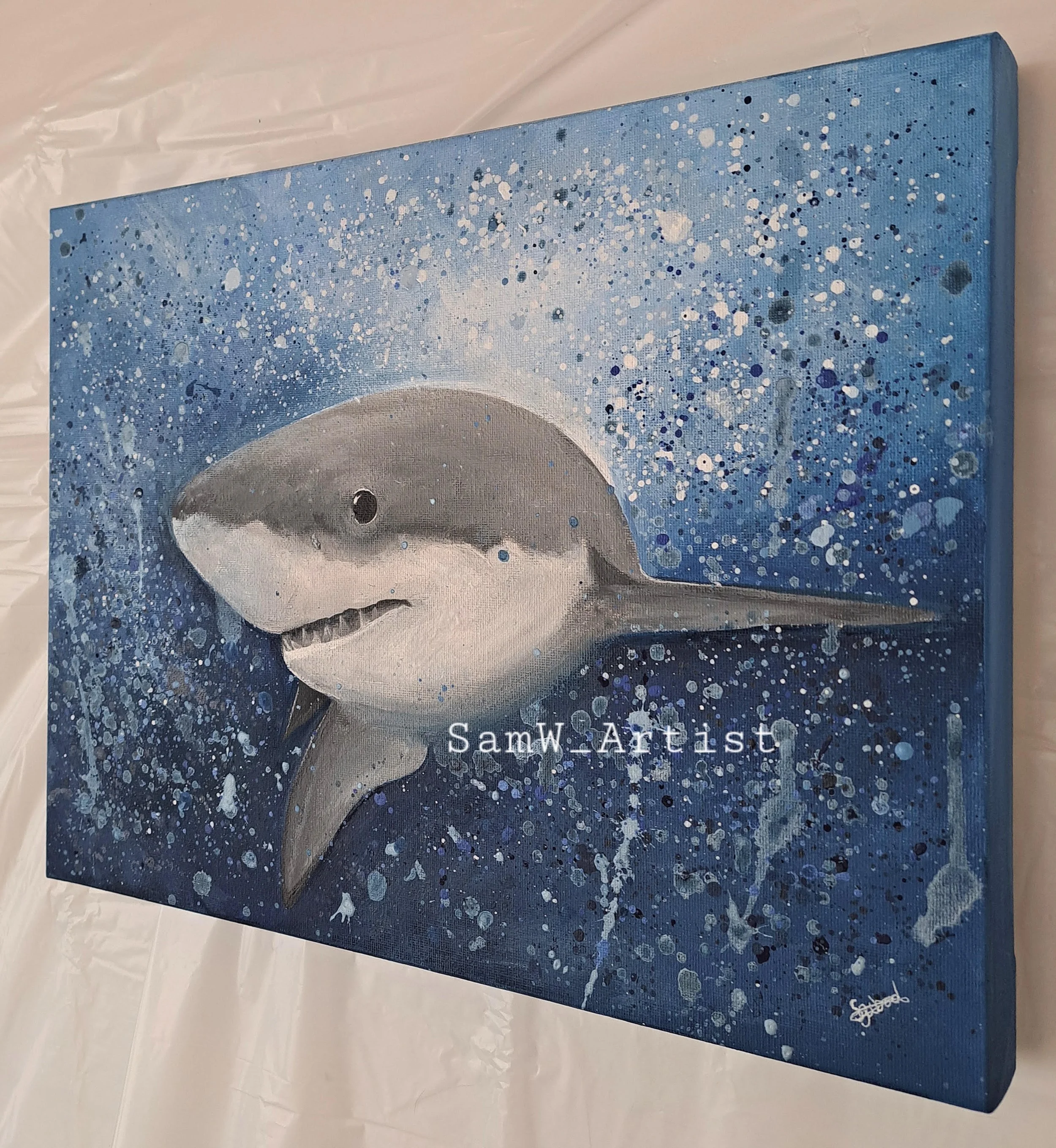 Shark small.jpg