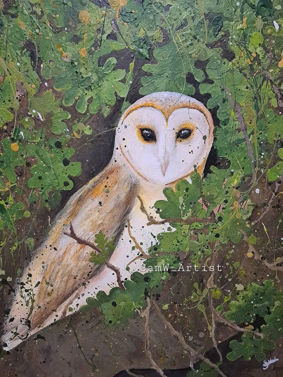 Barn owl2.jpeg