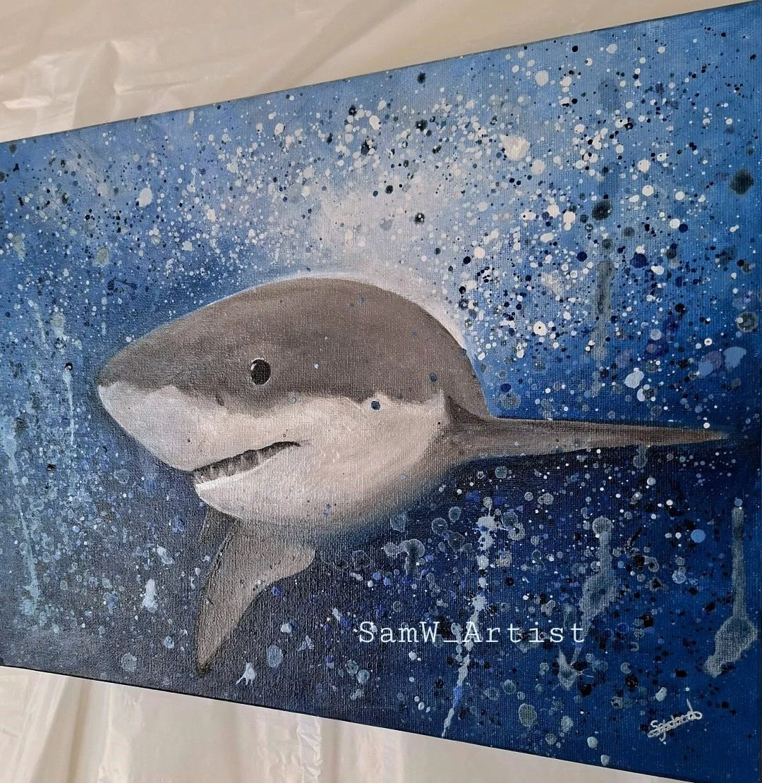Shark4.jpg